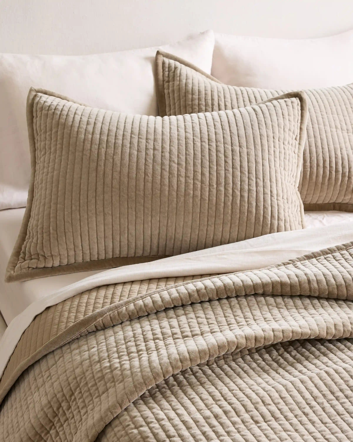 Cotton Velvet Narrow Channel Quilted Sham Set