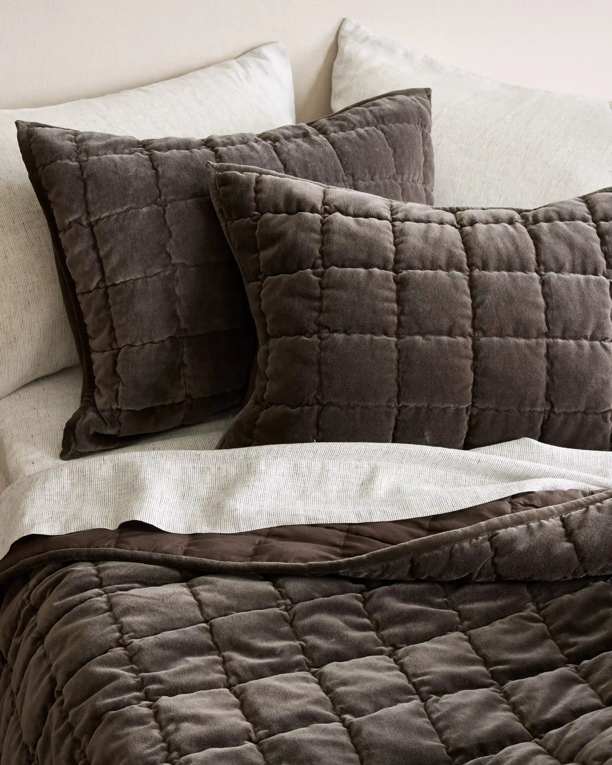 Cotton Velvet Box Quilted Sham Set