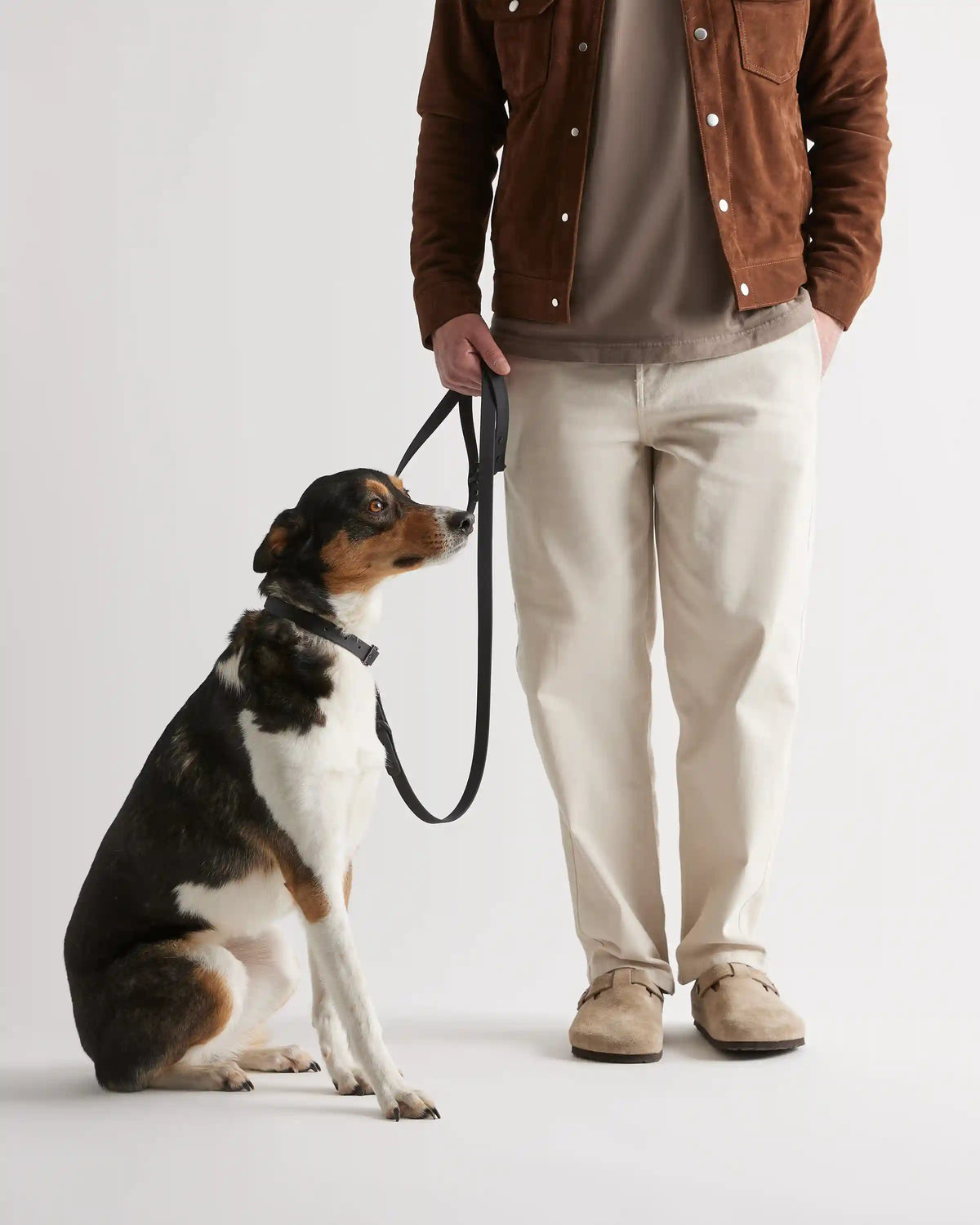 Dog Collar Walk Kit
