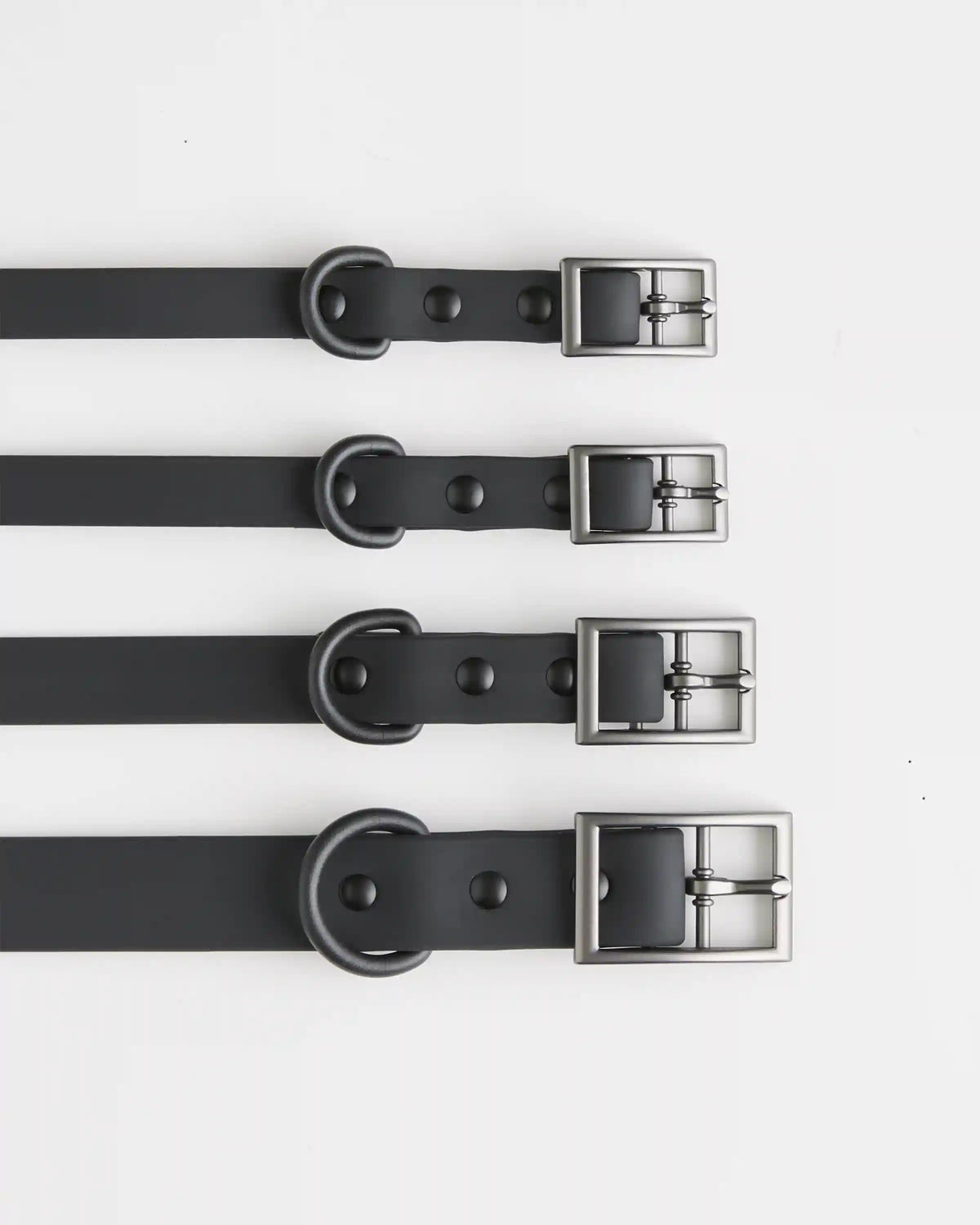 Dog Collar Walk Kit
