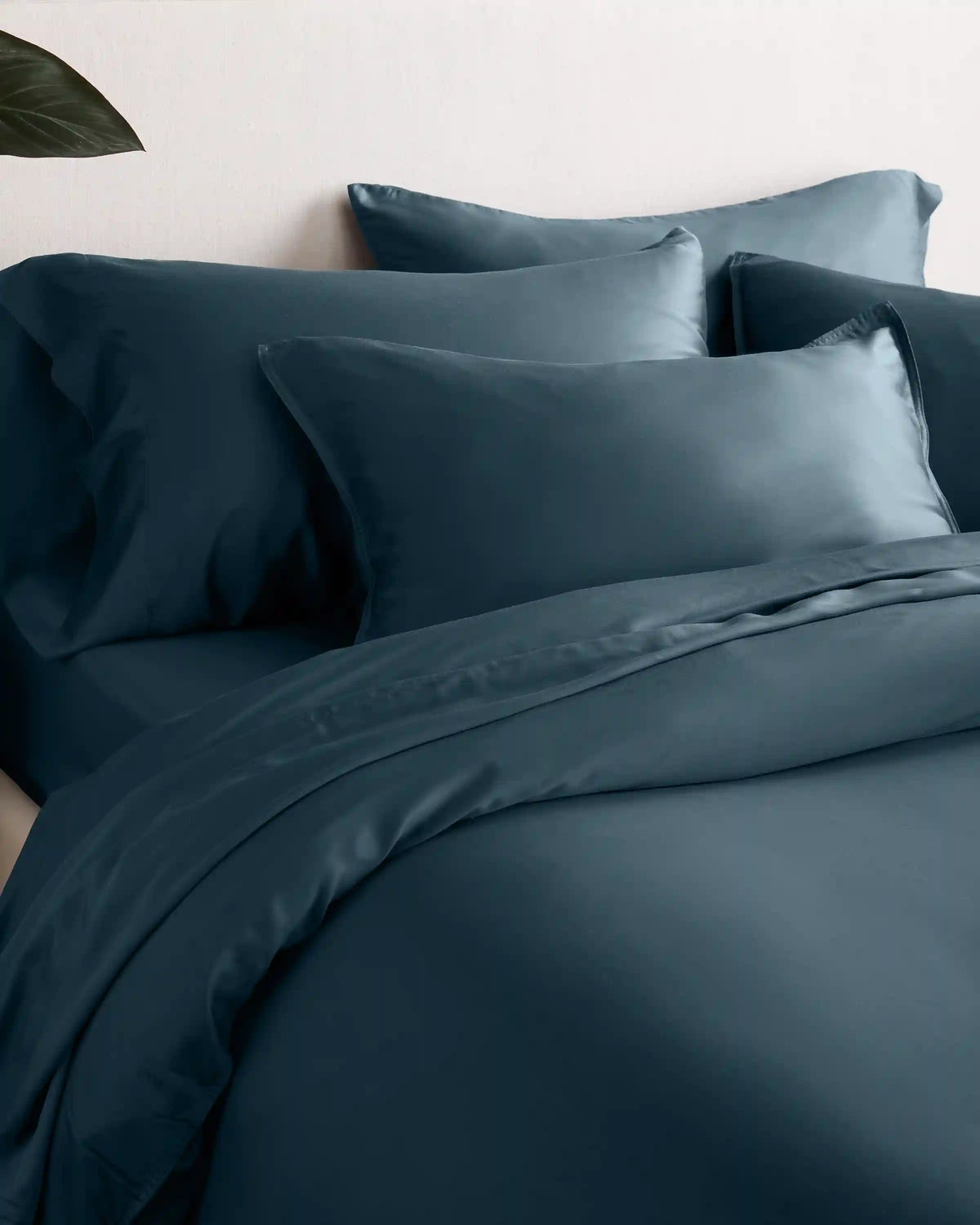 Bamboo Sham Set