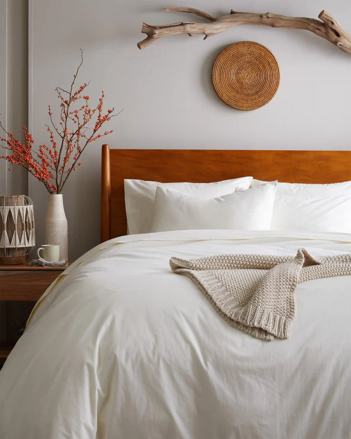 Organic Brushed Cotton Sham Set