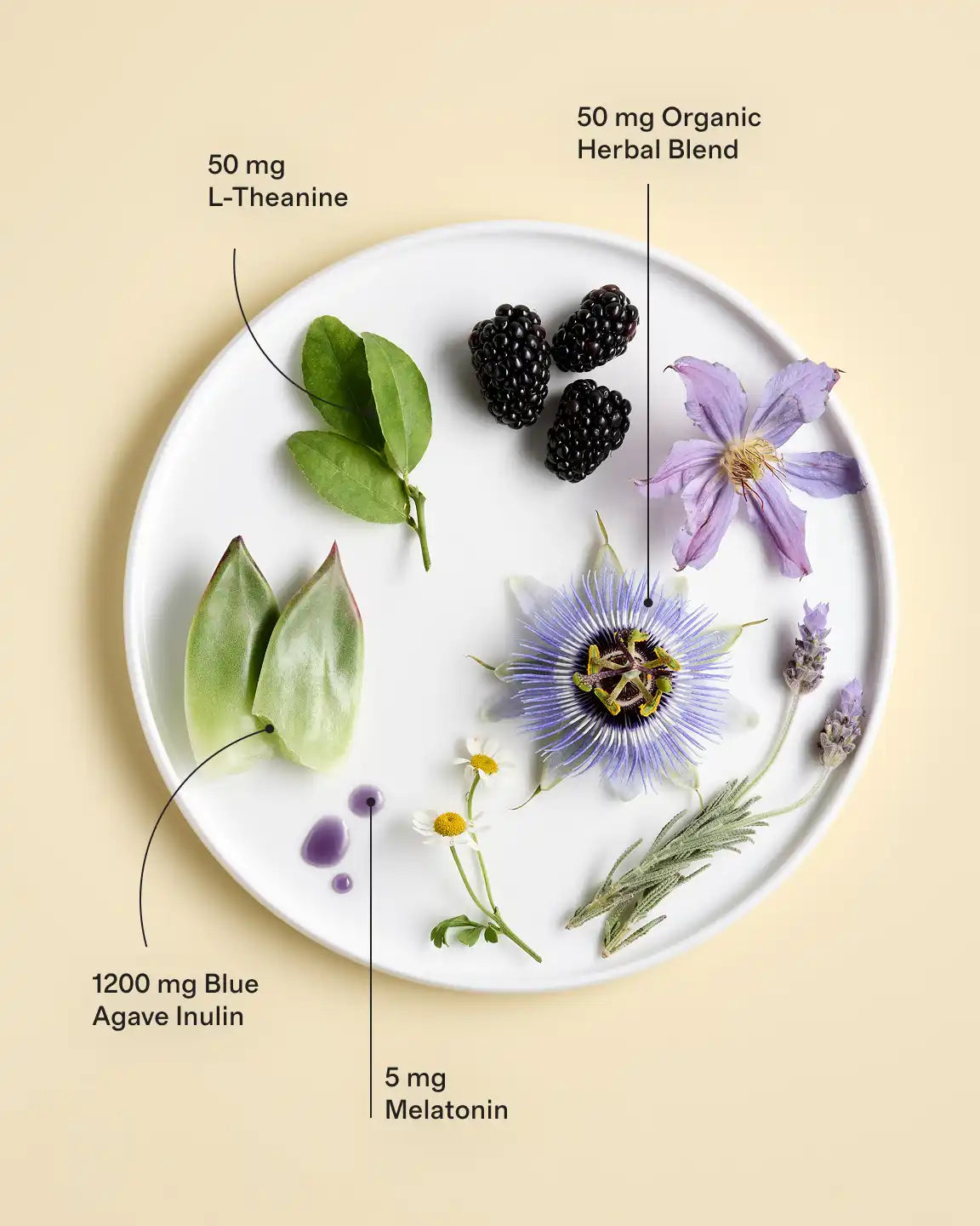 Plant-Based Sleep Gummies