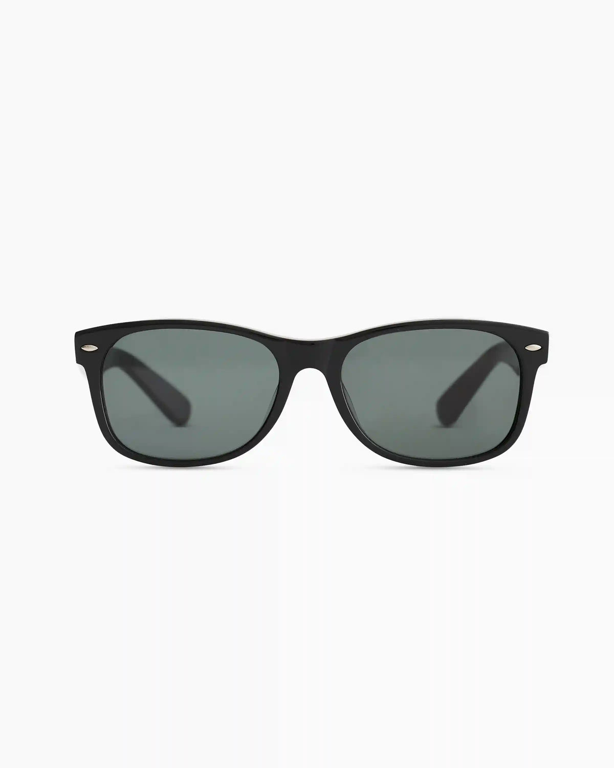 Hayden Polarized Acetate Sunglasses