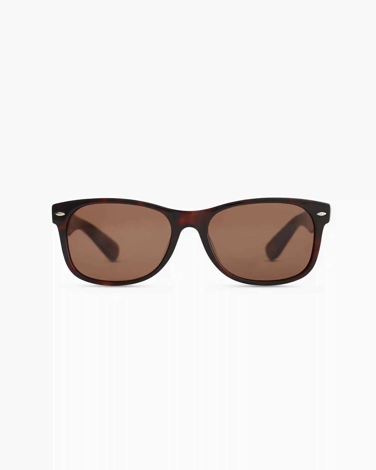 Hayden Polarized Acetate Sunglasses
