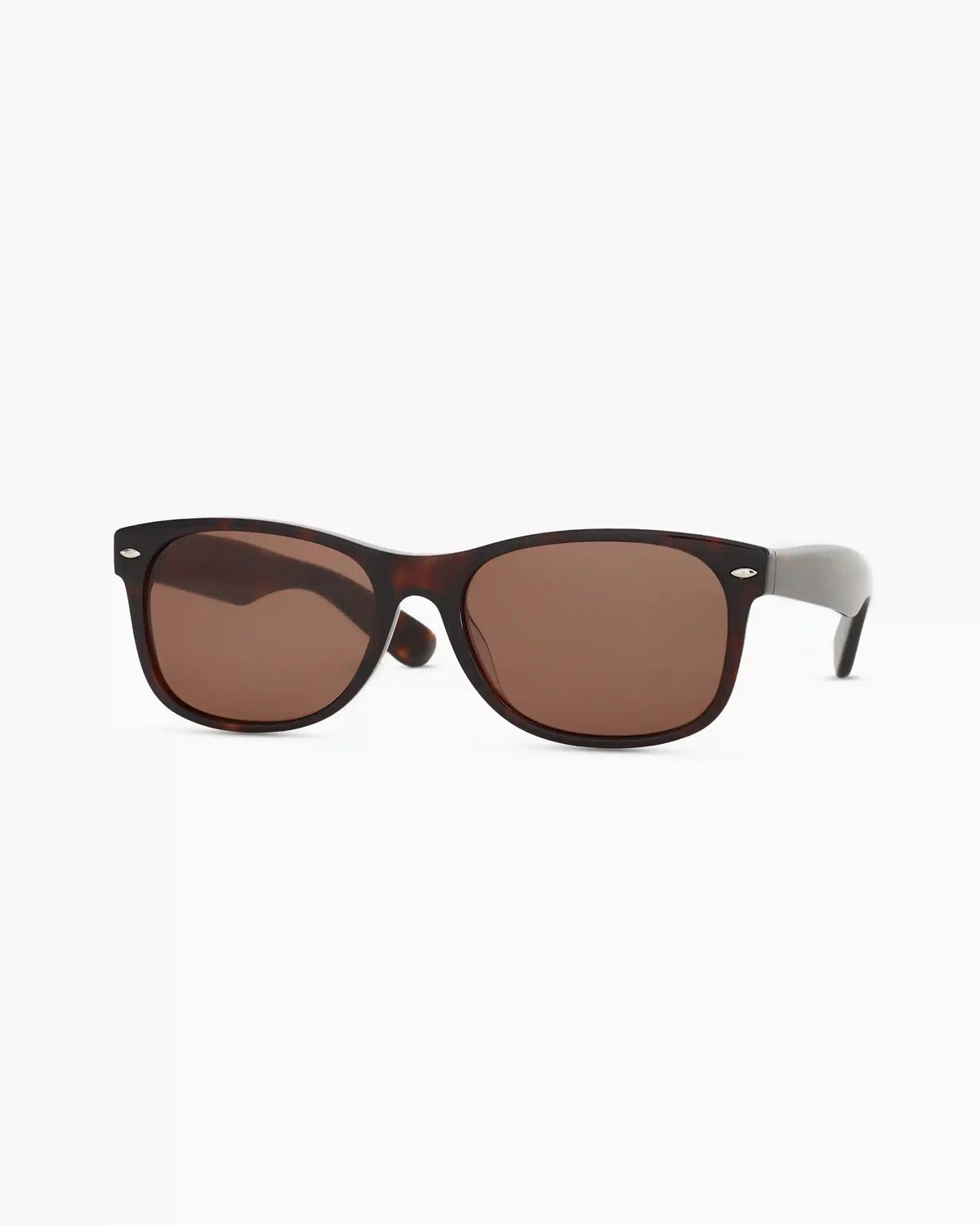 Hayden Polarized Acetate Sunglasses