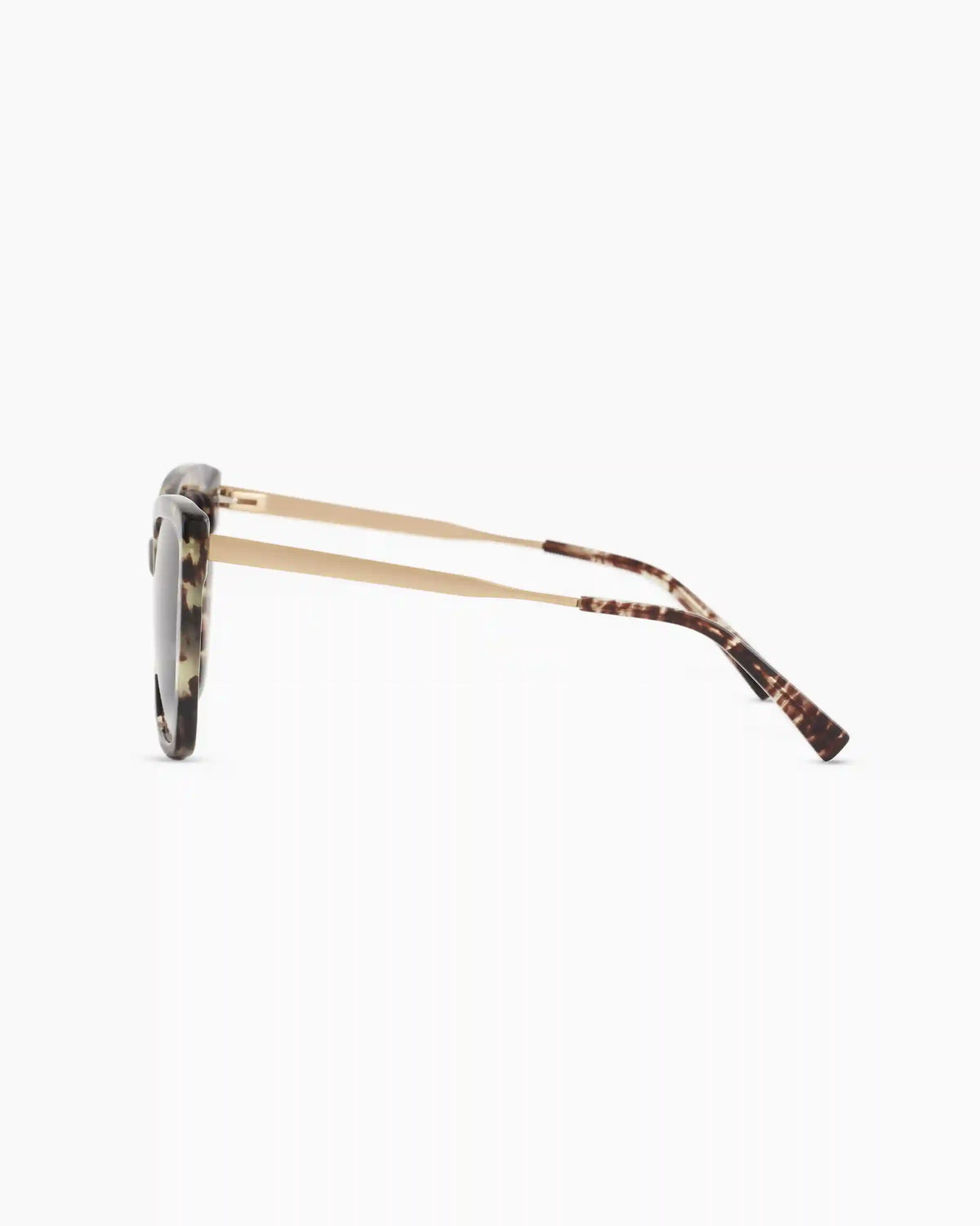 Ishara Polarized Acetate Sunglasses