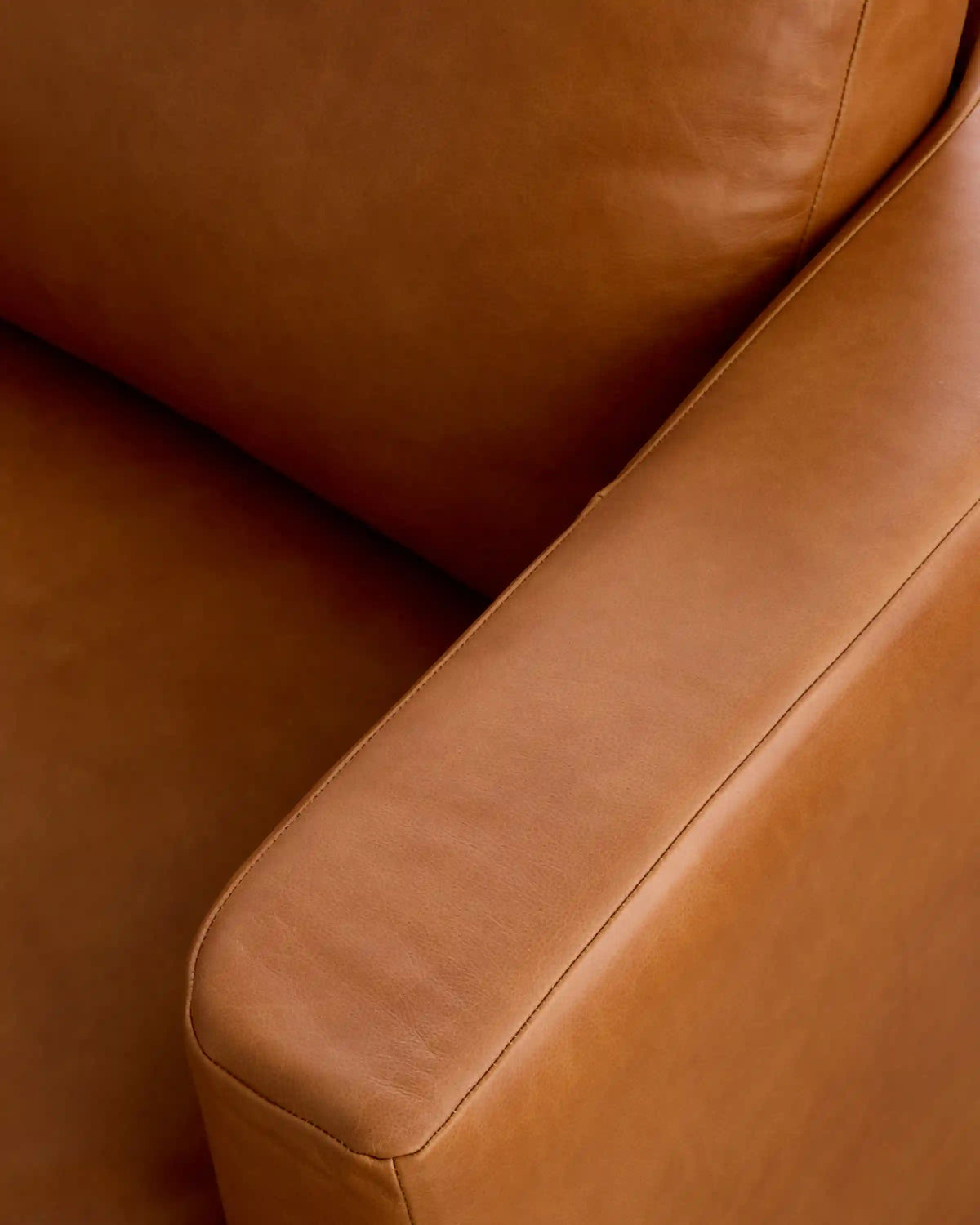 Sierra Curved Arm L Sectional in Leather