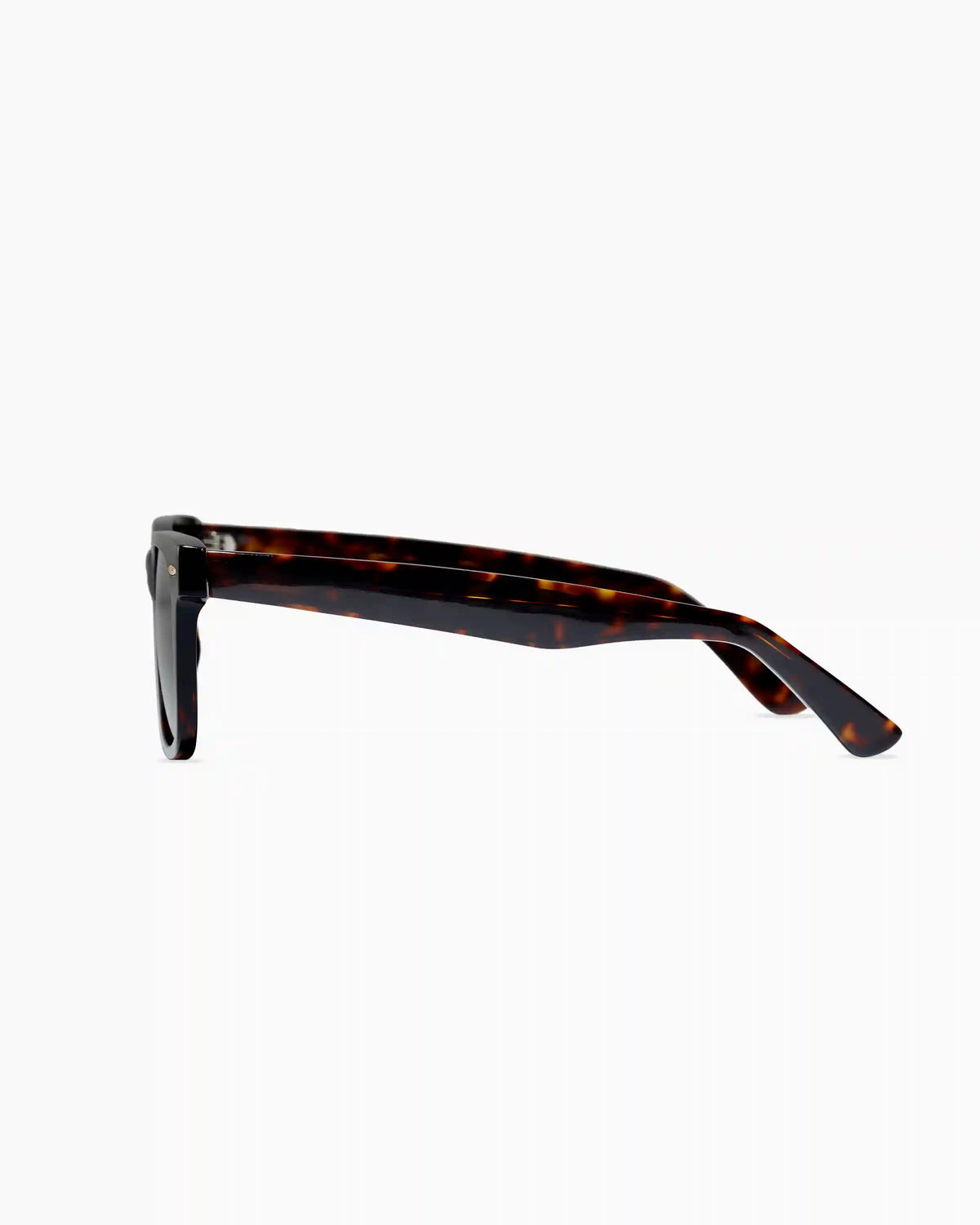 Walker Polarized Acetate Sunglasses