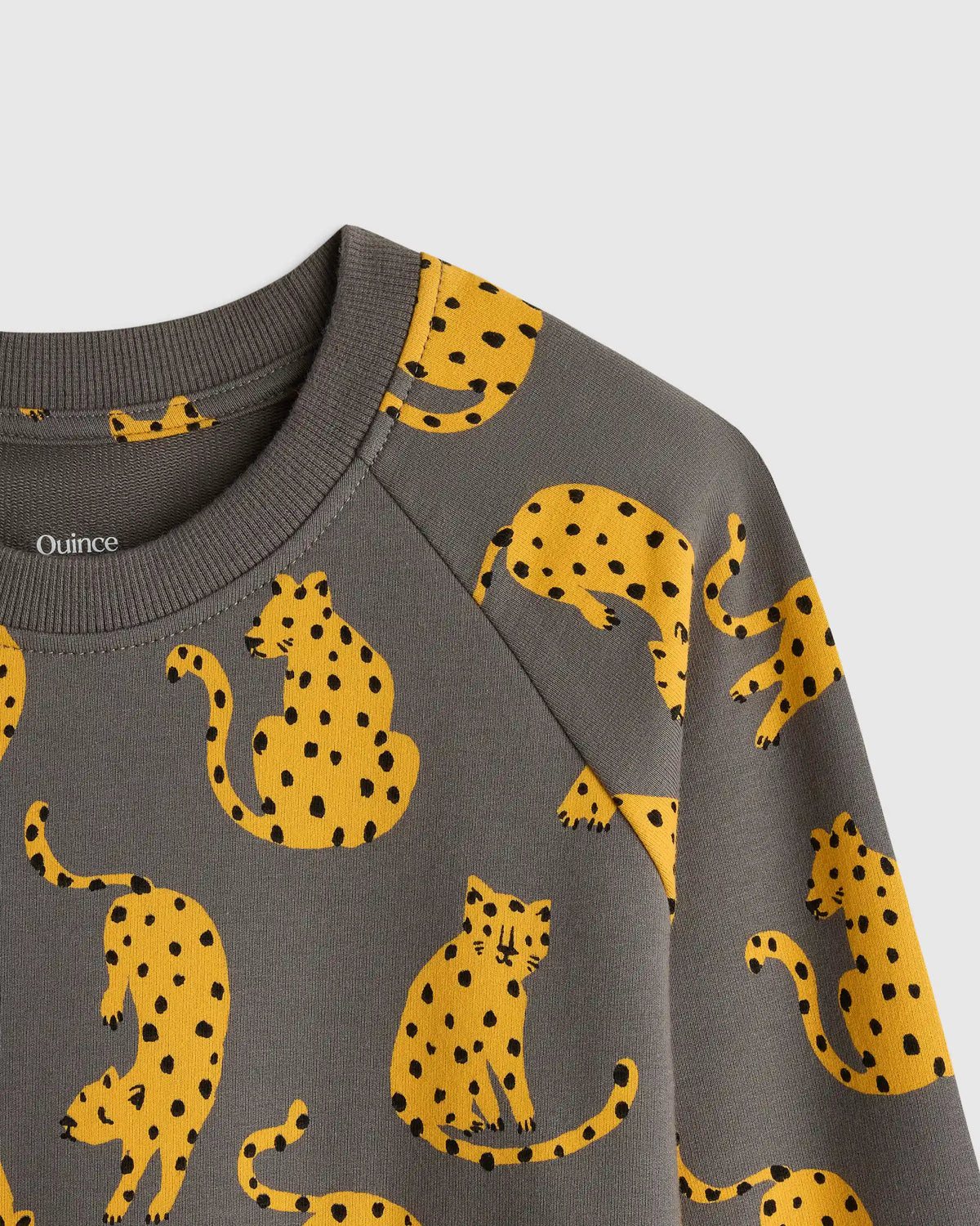 Organic Cotton French Terry Crew Neck Sweatshirt