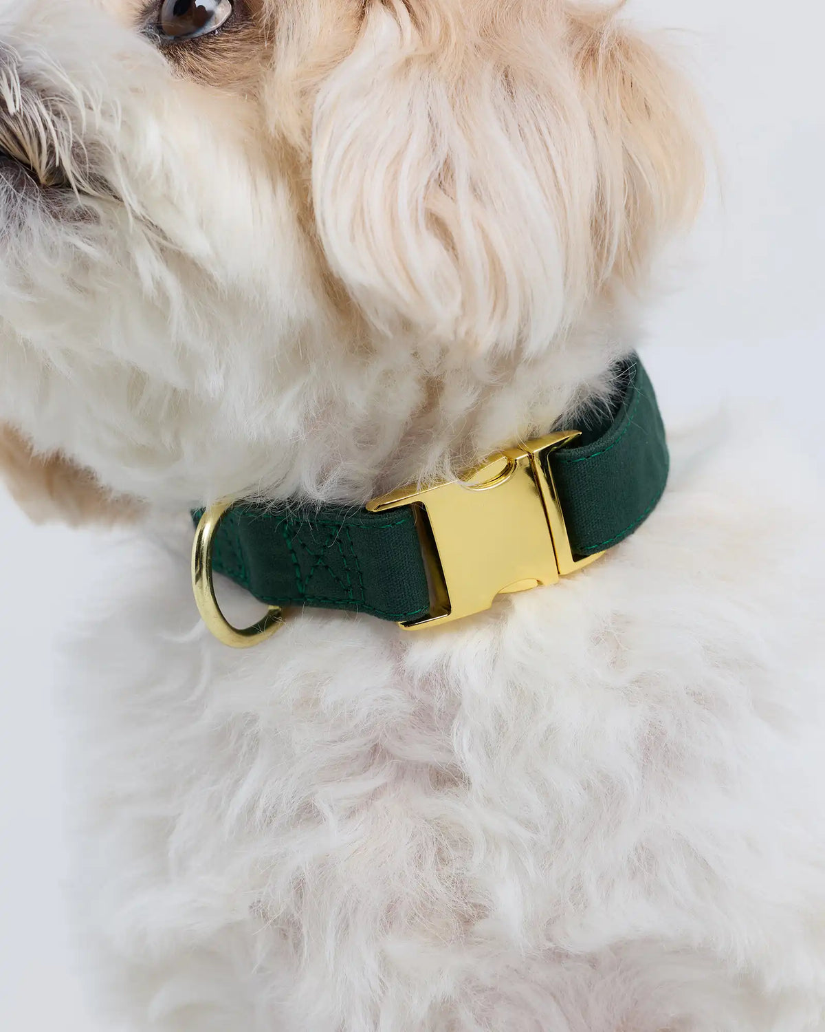 100% Cotton-Wrapped Nylon Dog Collar