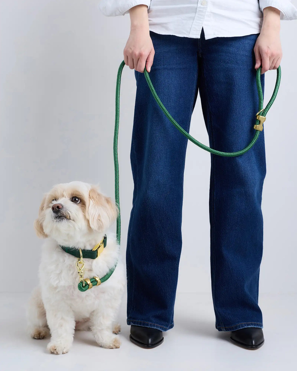 100% Cotton-Wrapped Nylon Dog Collar