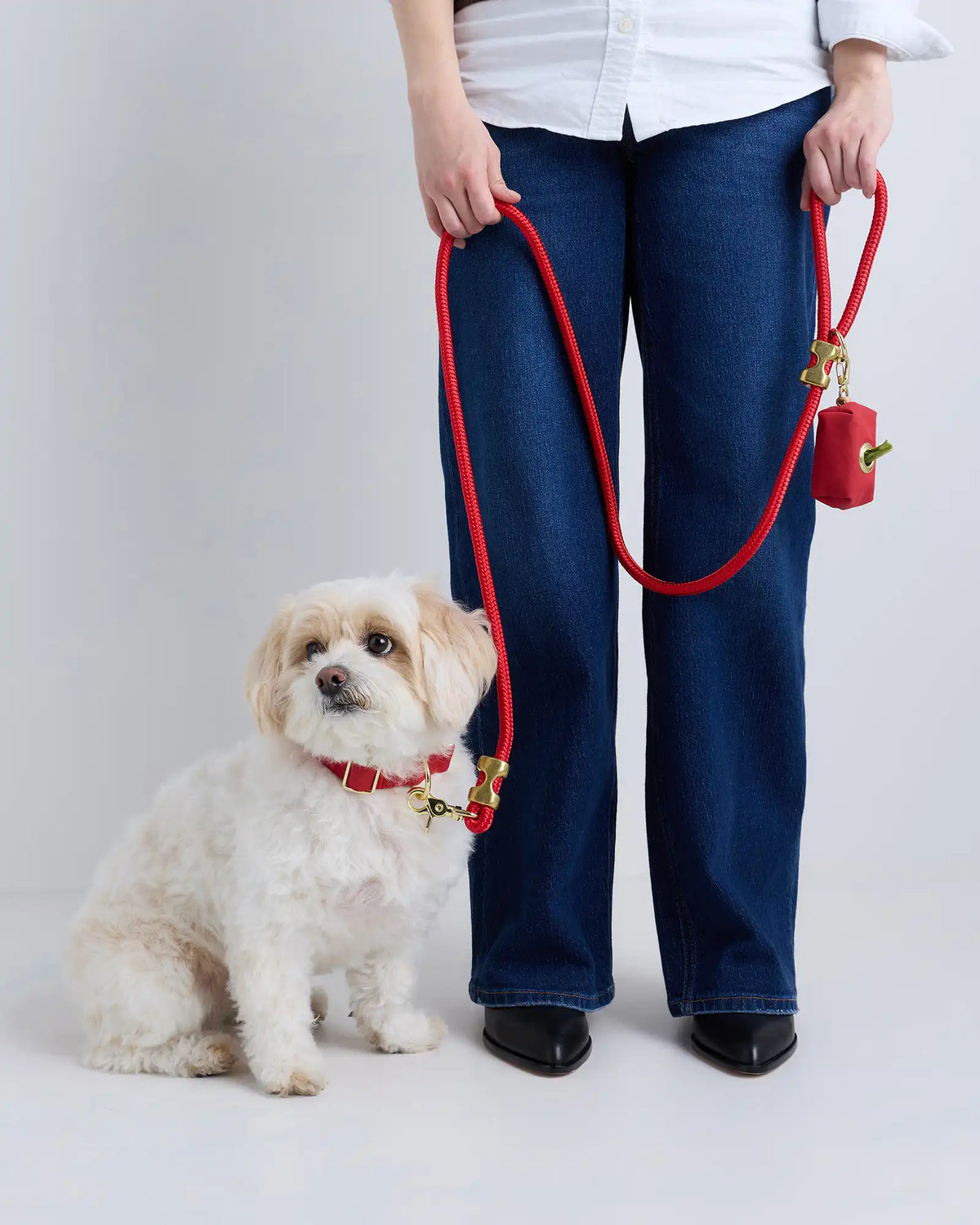 100% Cotton-Wrapped Nylon Dog Collar