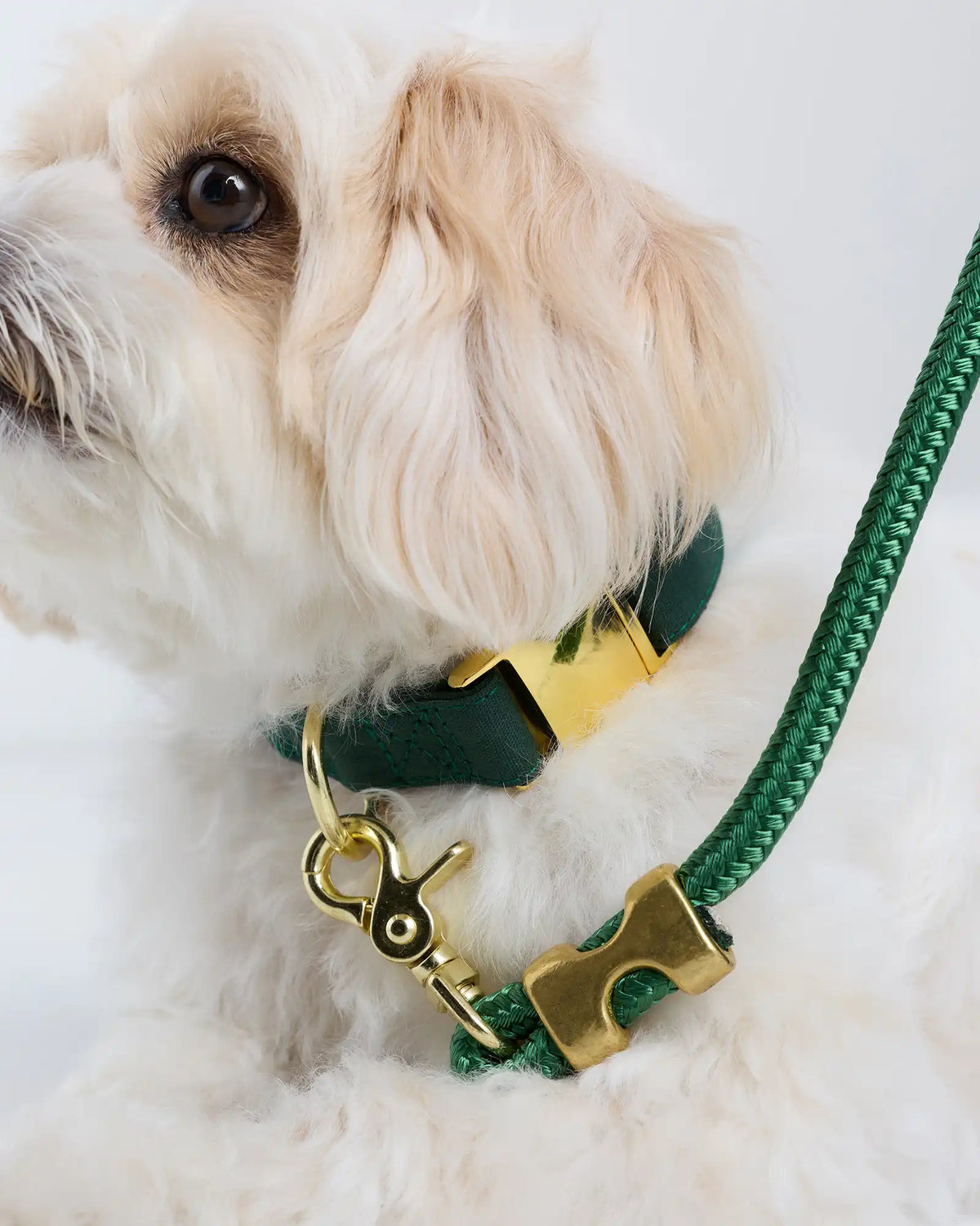 Double-Braided Nylon Rope Dog Leash
