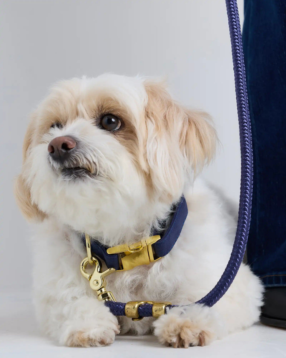 Double-Braided Nylon Rope Dog Leash