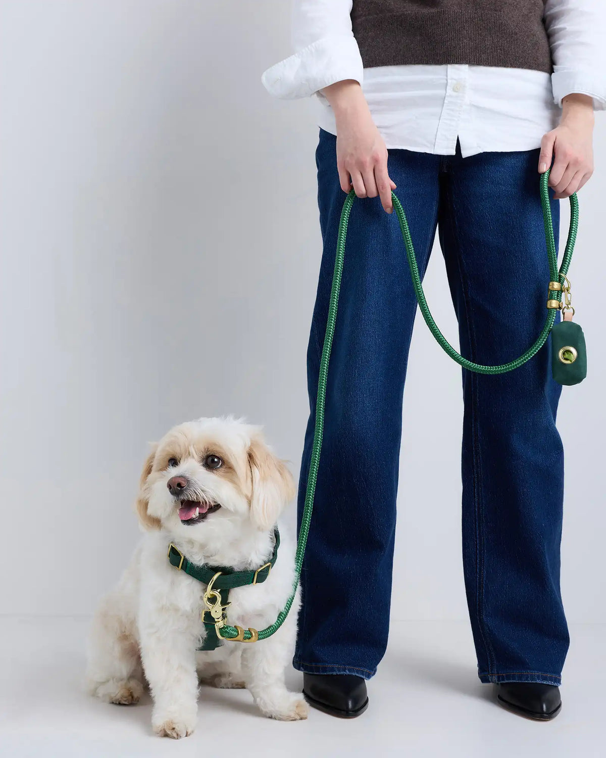 100% Cotton-Wrapped Nylon Dog Harness Walk Kit