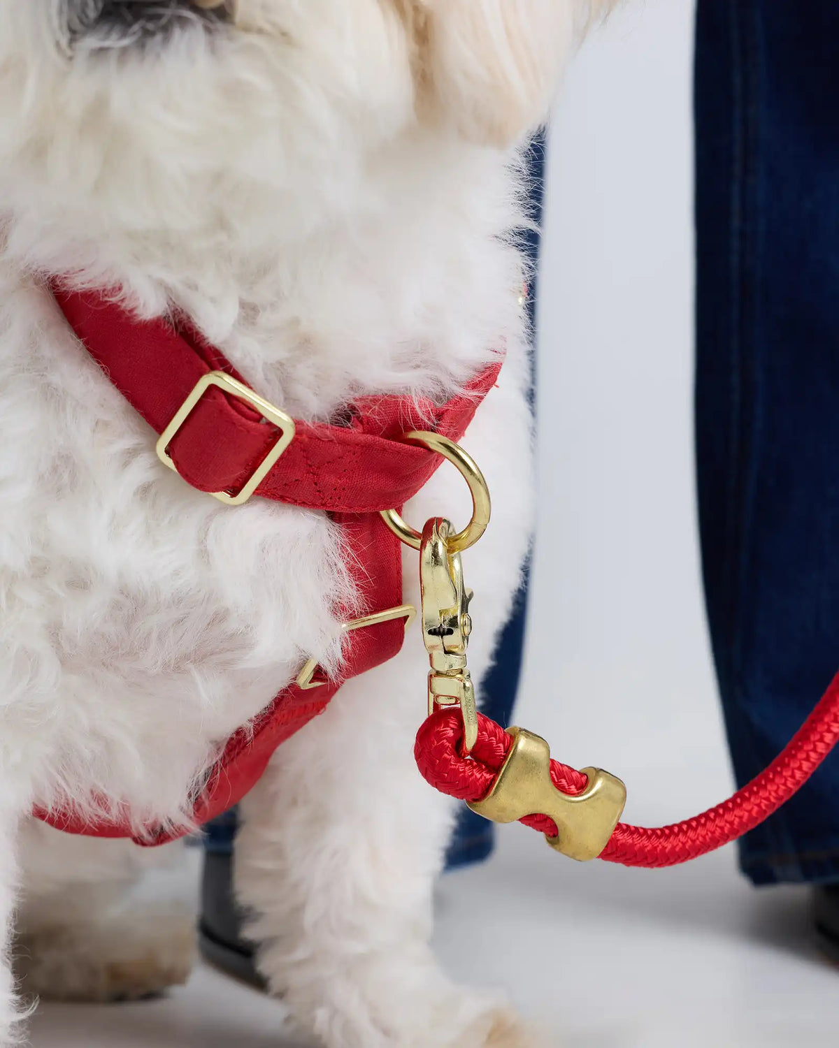 100% Cotton-Wrapped Nylon Dog Harness