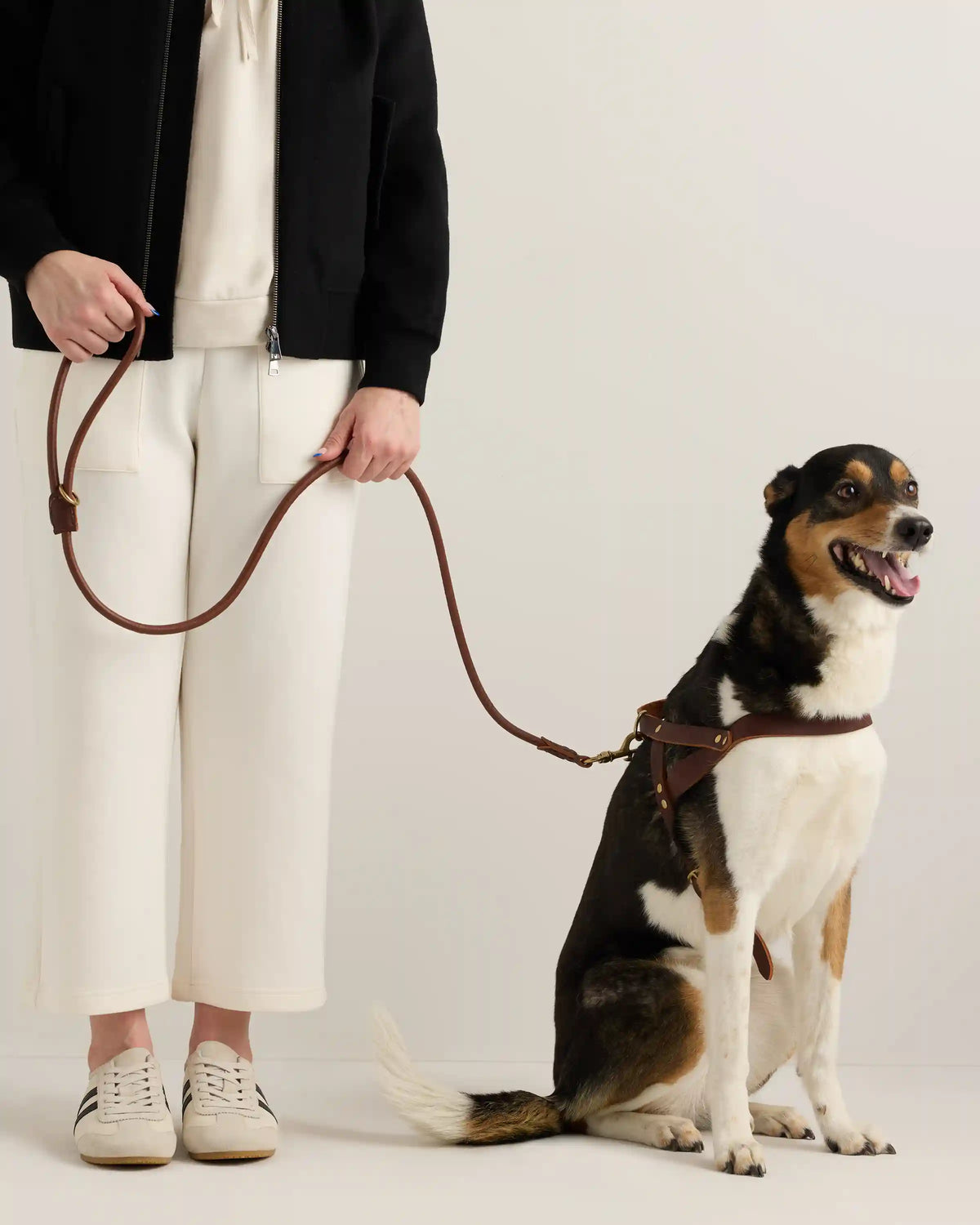 Italian Leather Dog Harness