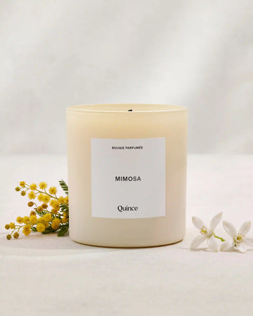Mimosa Candle