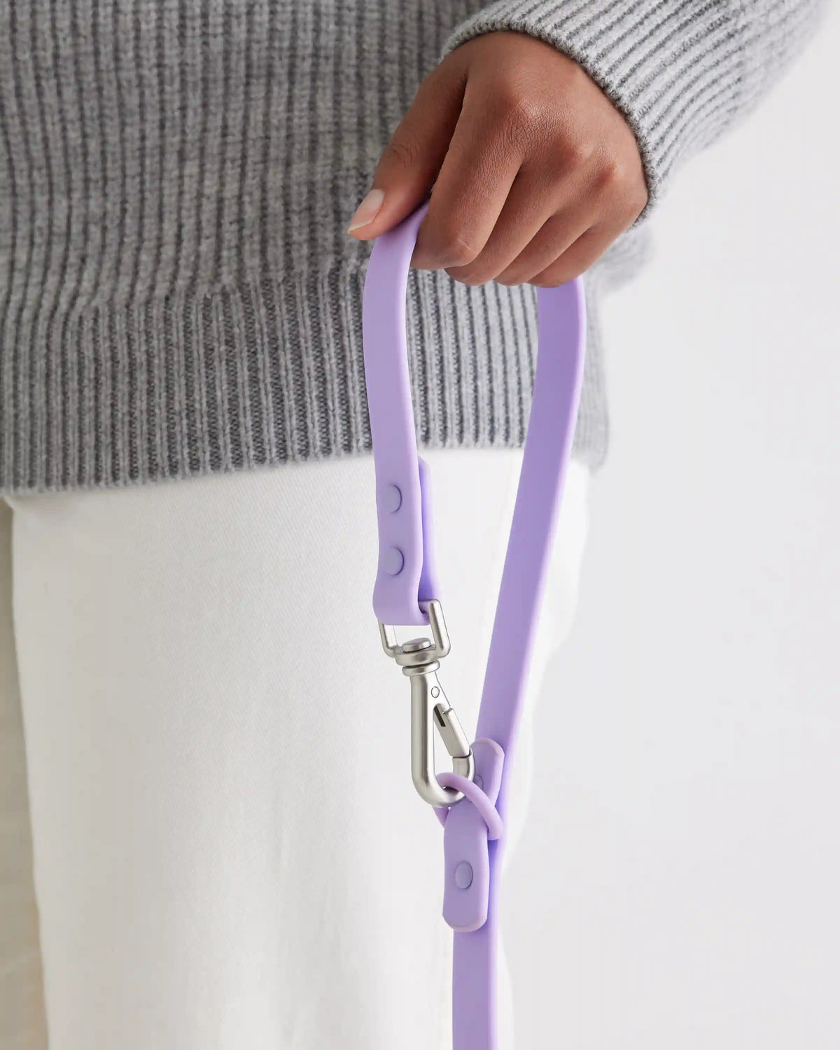 Dog Collar Walk Kit