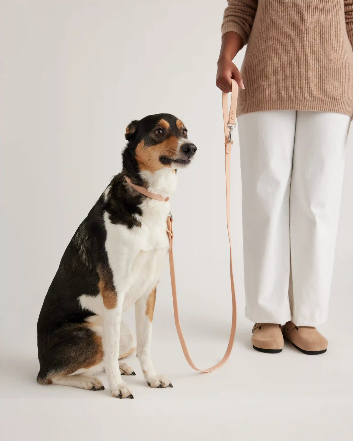 Flex-Poly Dog Leash