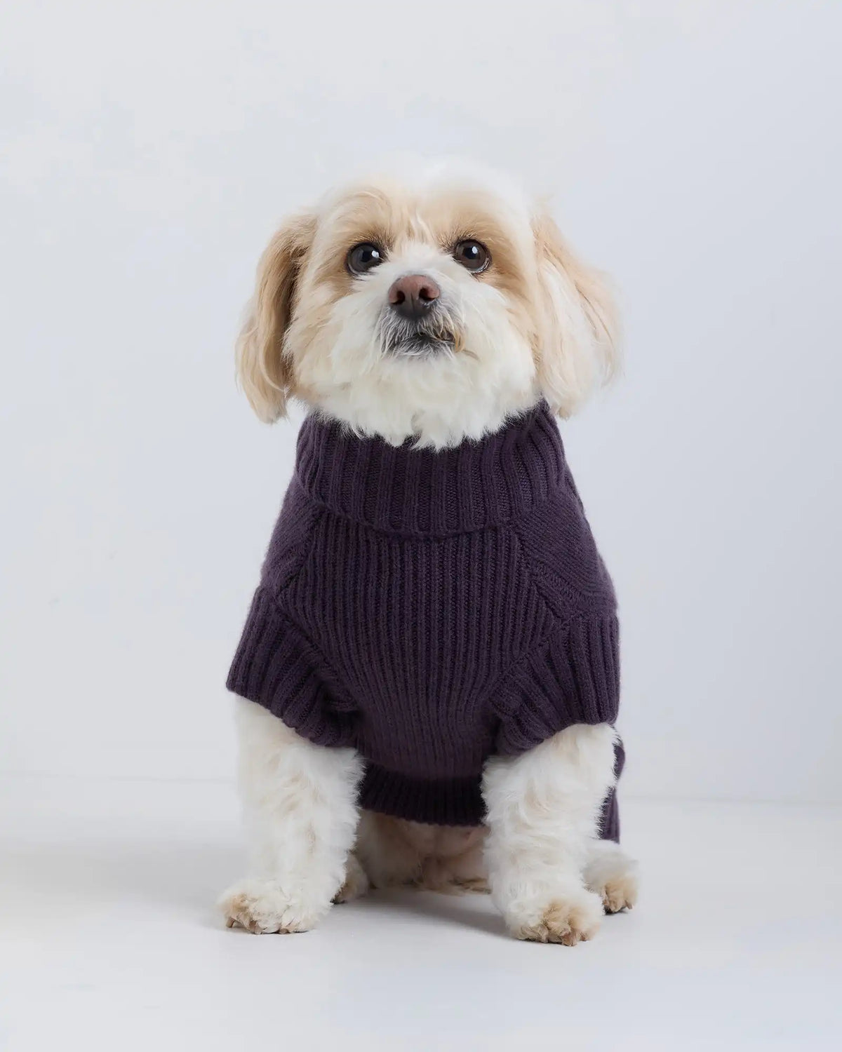 Mongolian Cashmere Cable Knit Dog Sweater