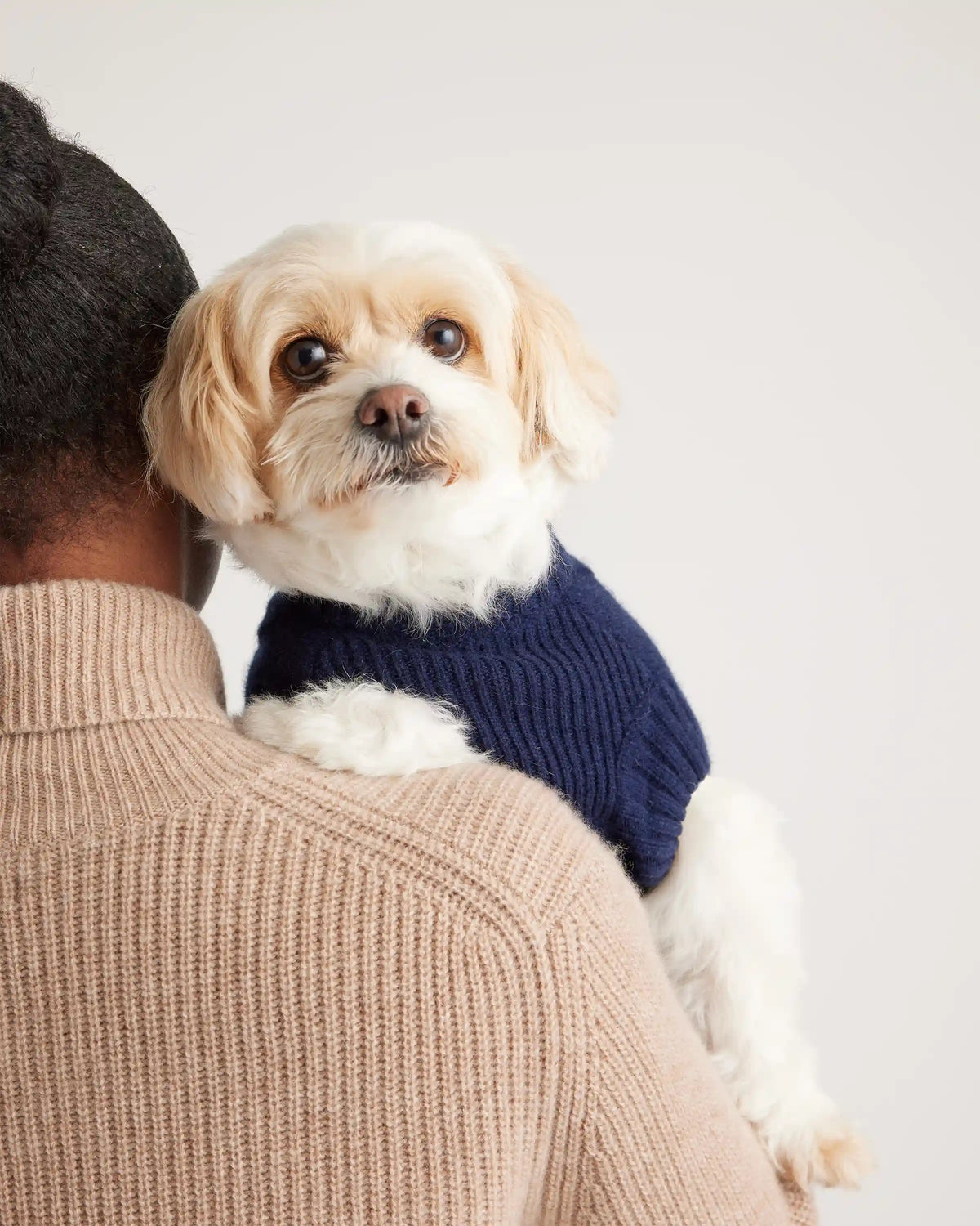 Mongolian Cashmere Cable Knit Dog Sweater
