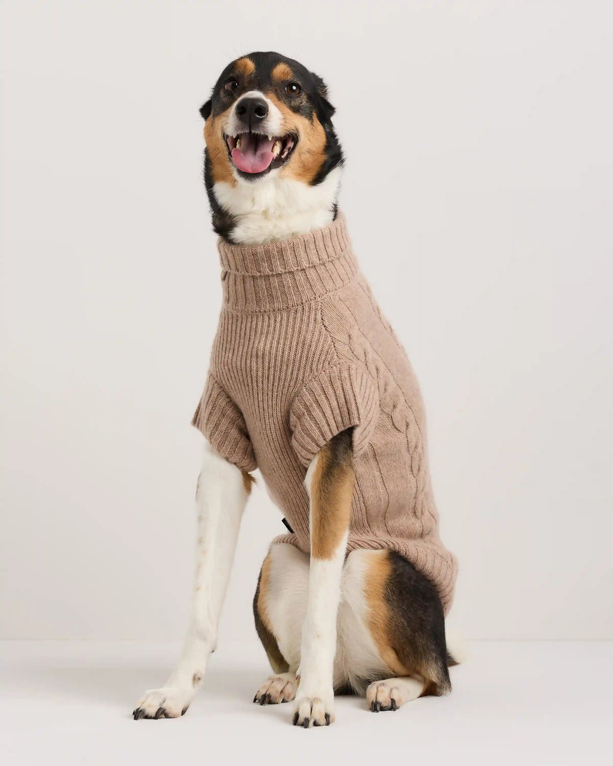 Mongolian Cashmere Cable Knit Dog Sweater
