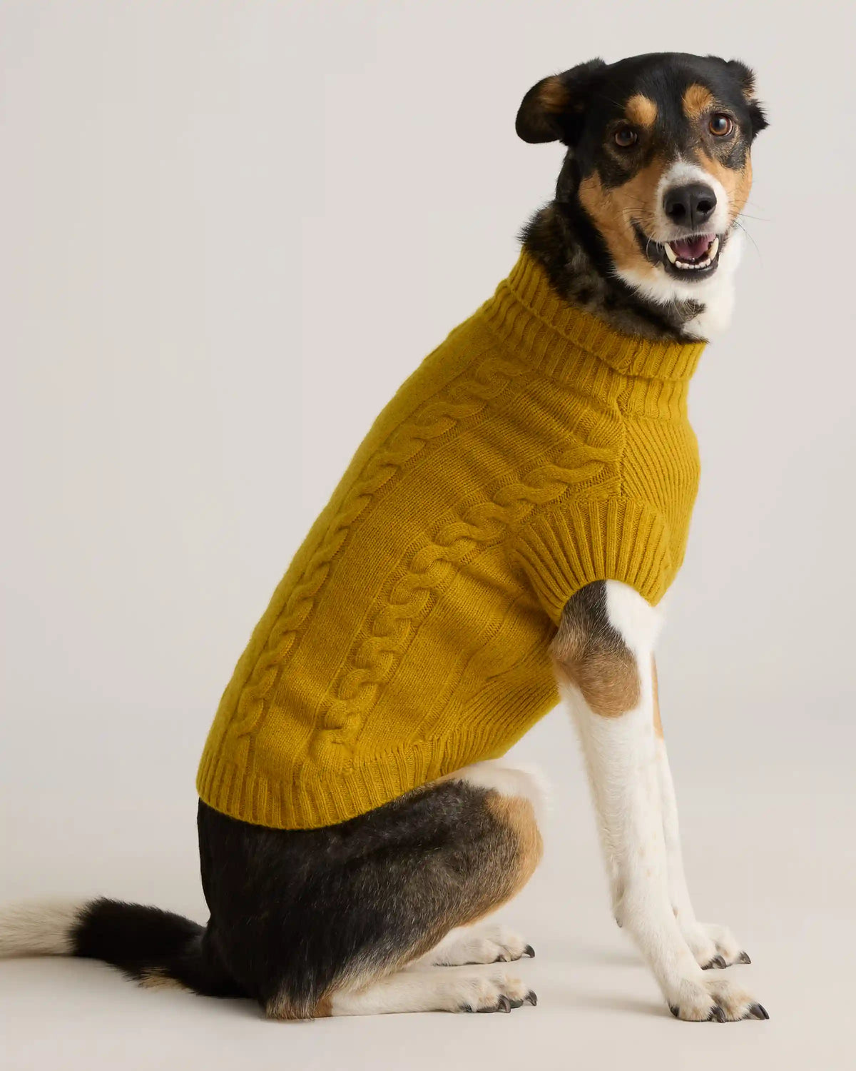 Mongolian Cashmere Cable Knit Dog Sweater