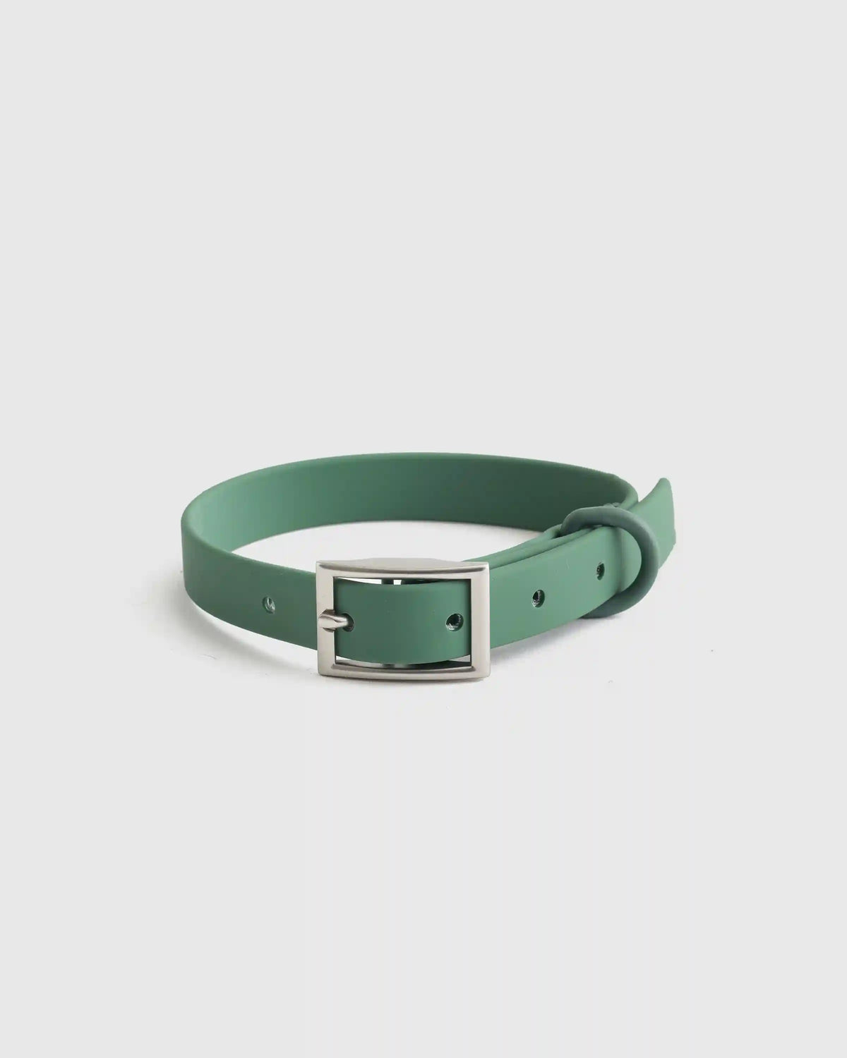Dog Collar Walk Kit