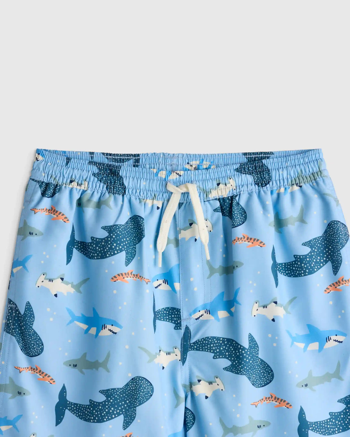 Swim Trunk