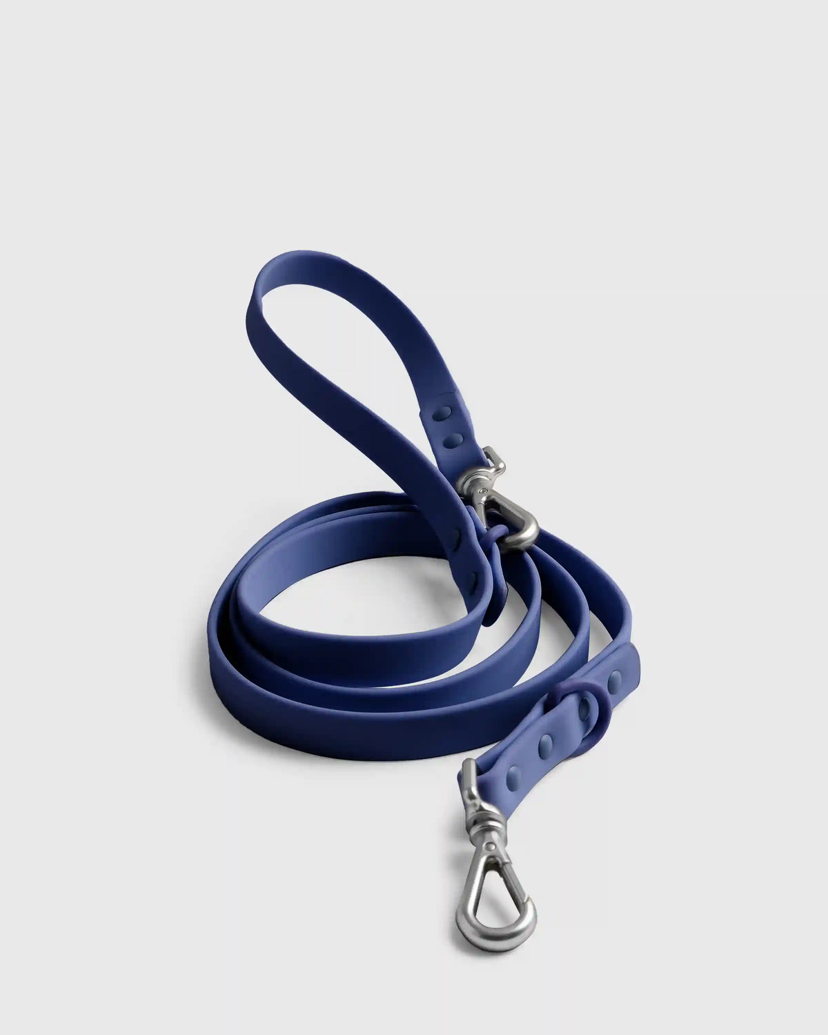 Flex-Poly Dog Leash