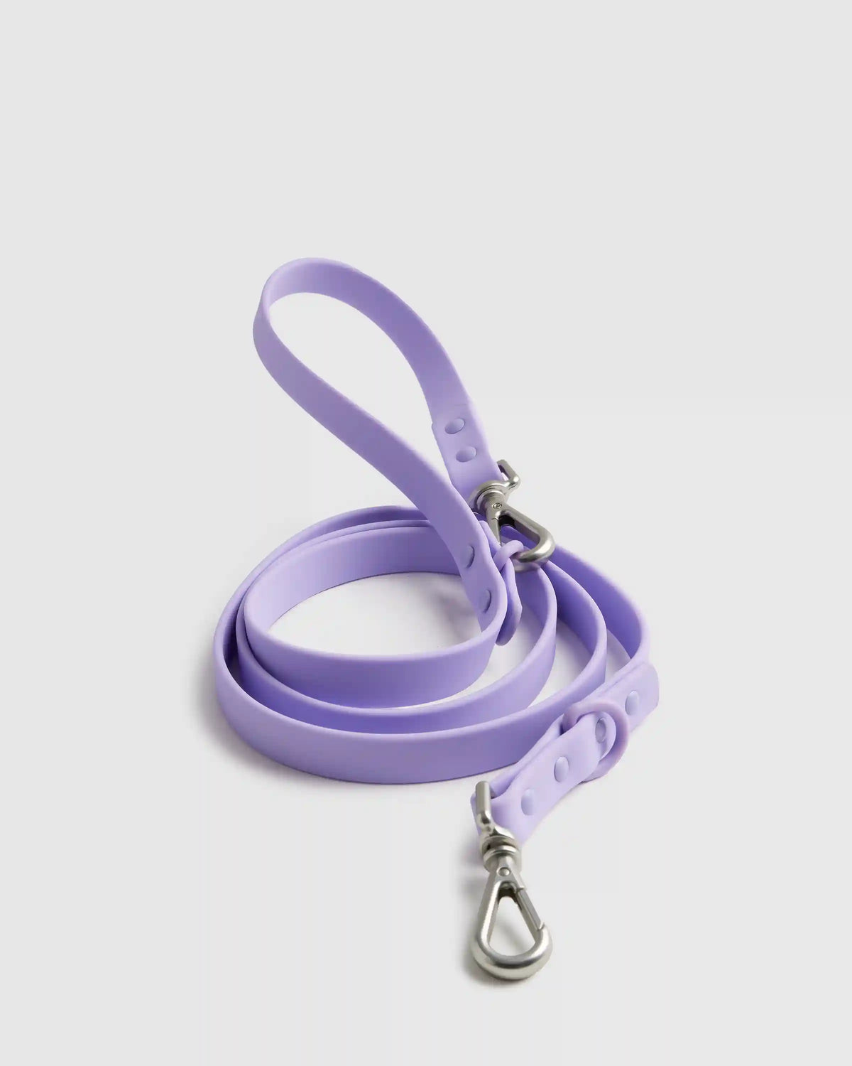 Flex-Poly Dog Leash