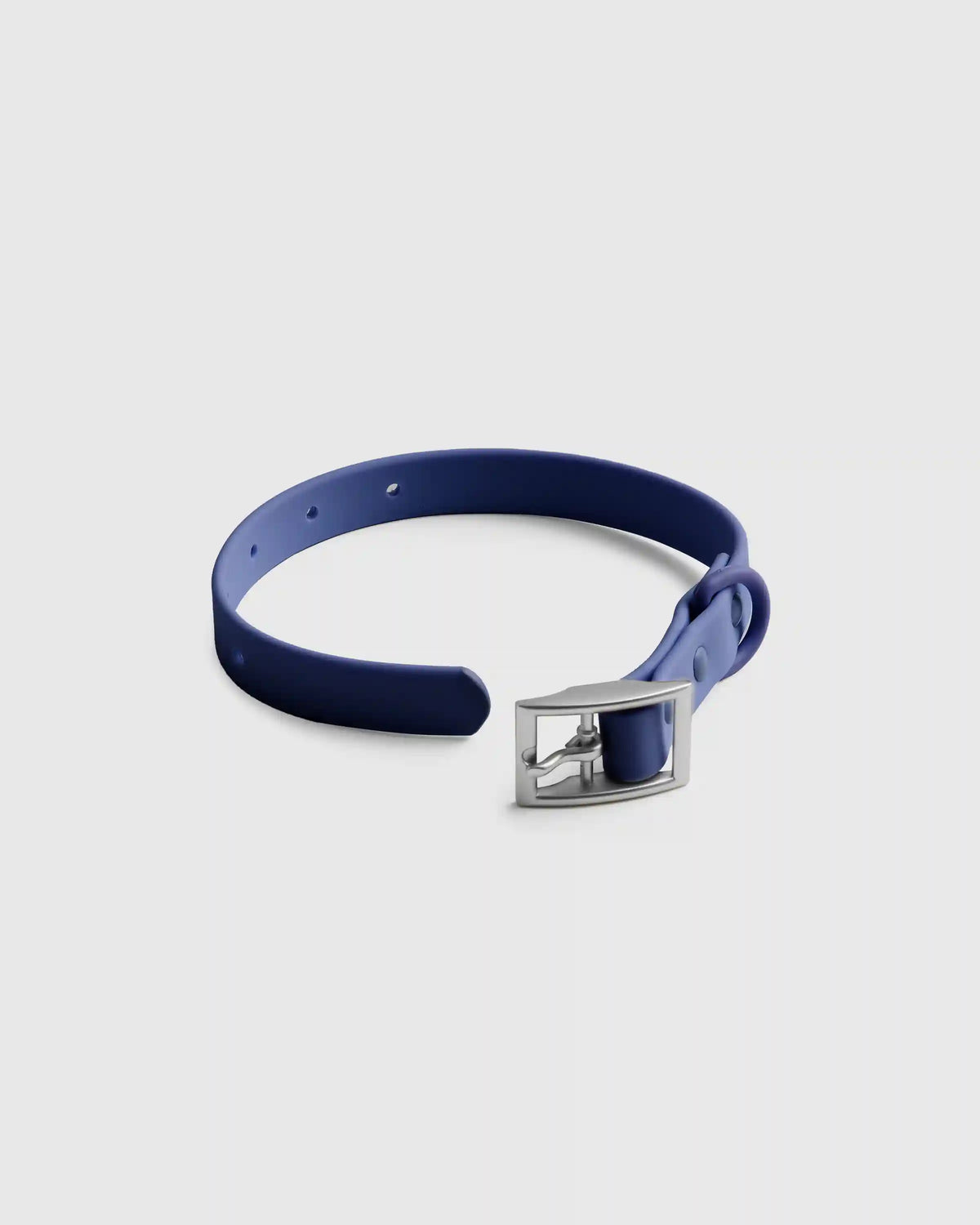 Dog Collar Walk Kit