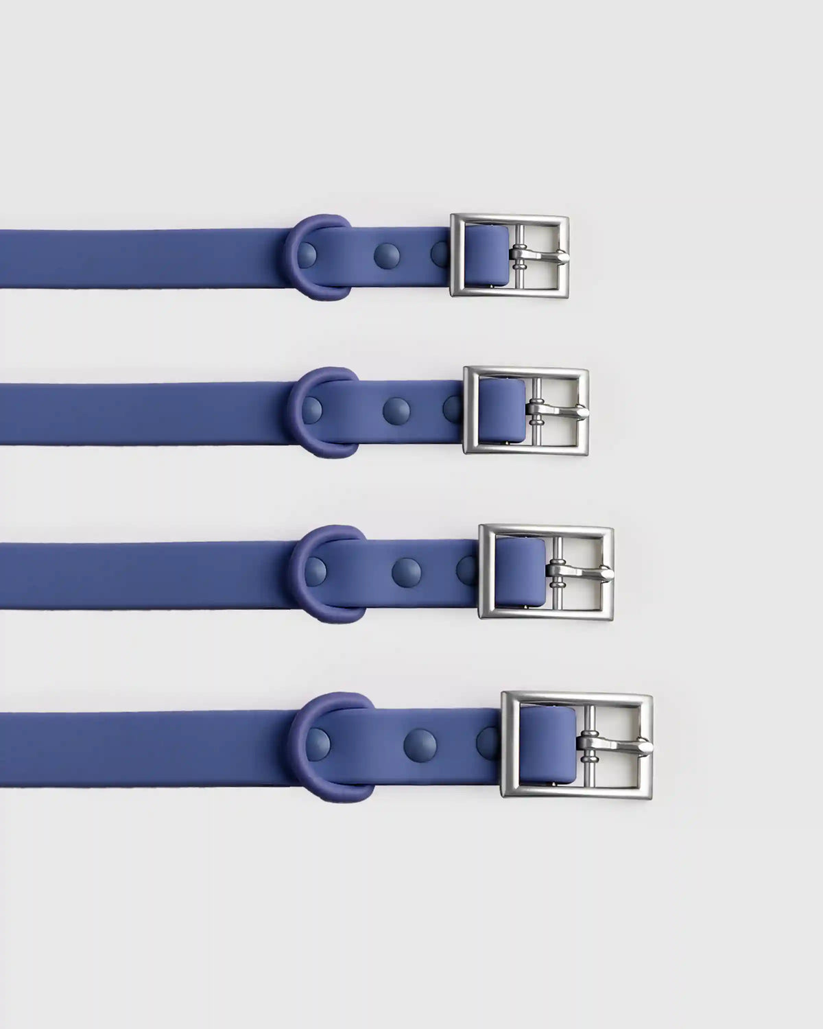 Dog Collar Walk Kit