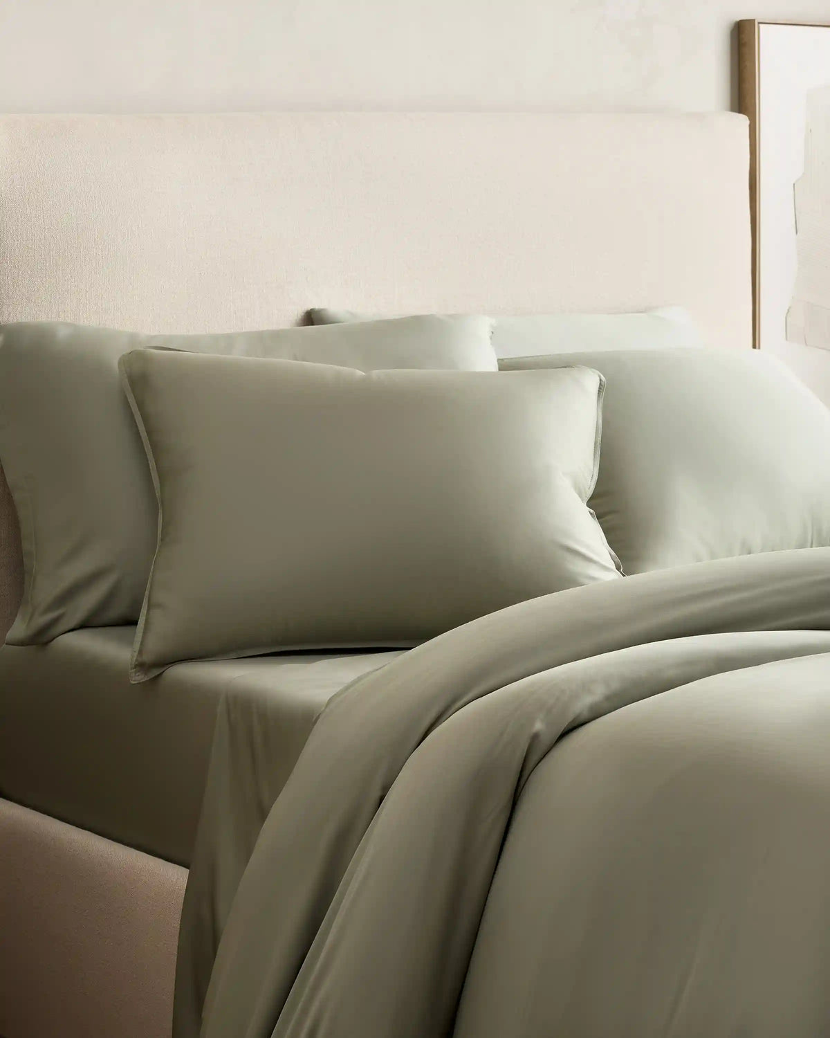 Bamboo Sham Set