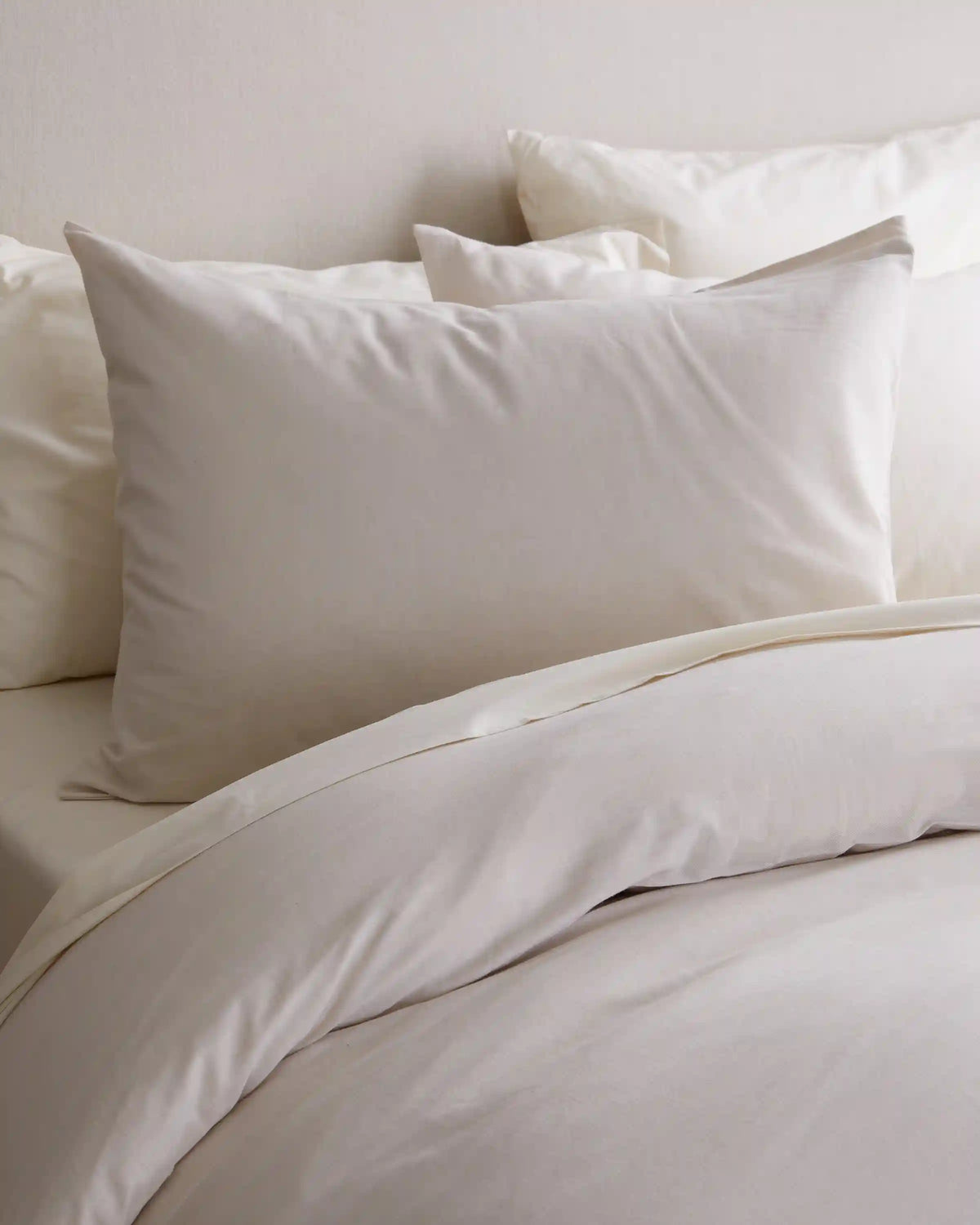 Mongolian Cashmere Cotton Sham Set