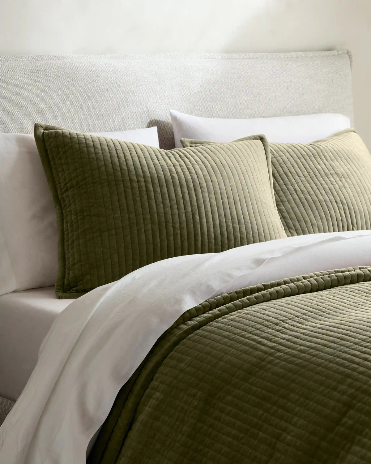 Cotton Velvet Narrow Channel Quilted Sham Set