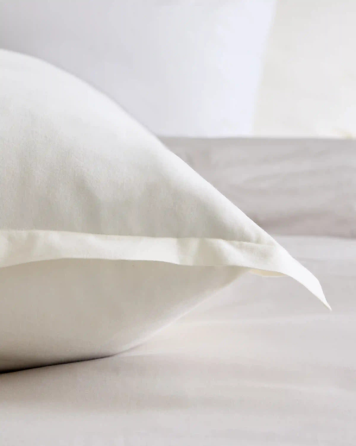 Organic Brushed Cotton Euro Sham