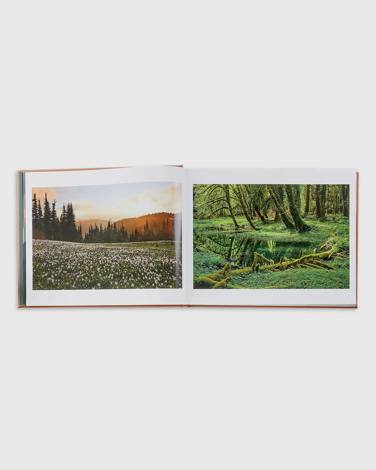 Treasured Lands Leather Bound Book
