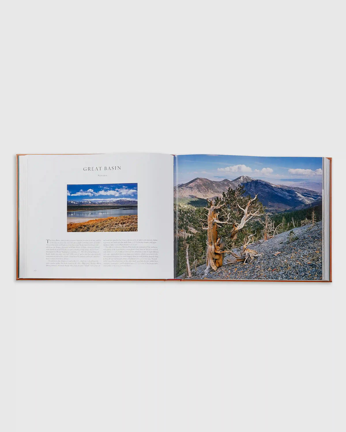 Treasured Lands Leather Bound Book