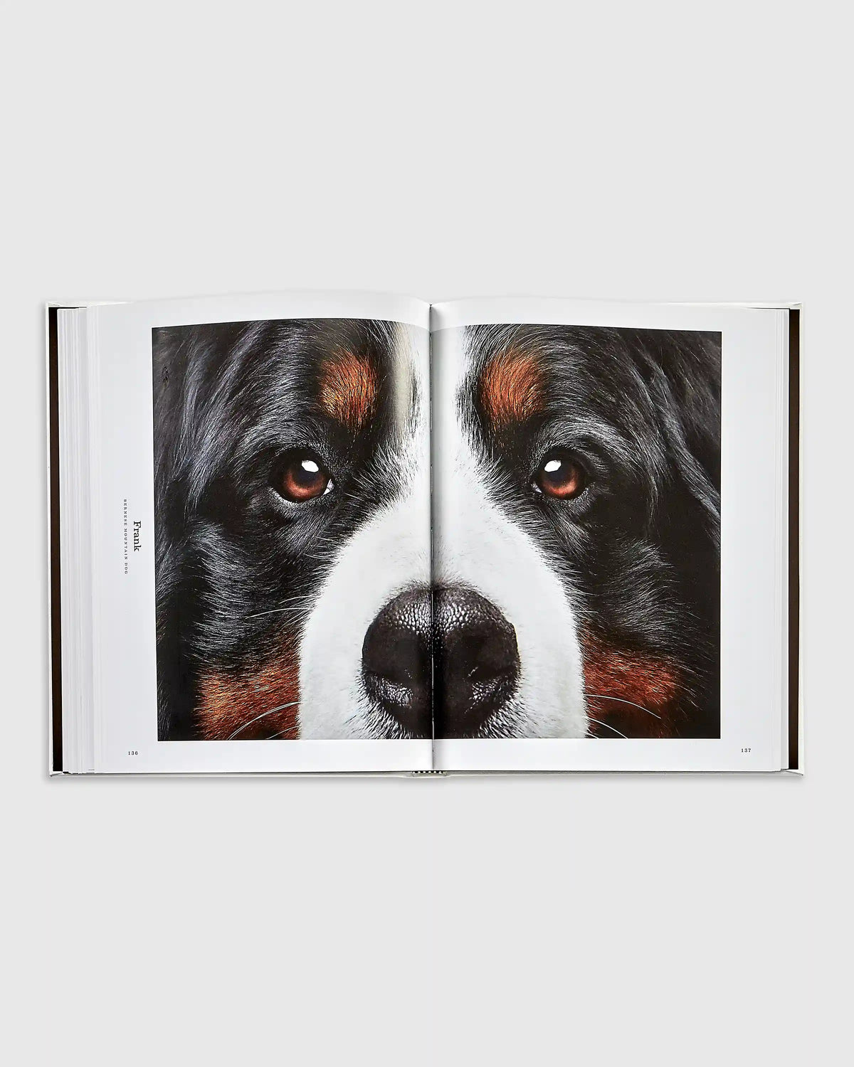 Good Dog Leather Bound Book
