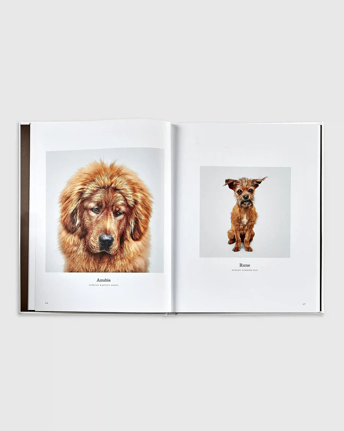 Good Dog Leather Bound Book