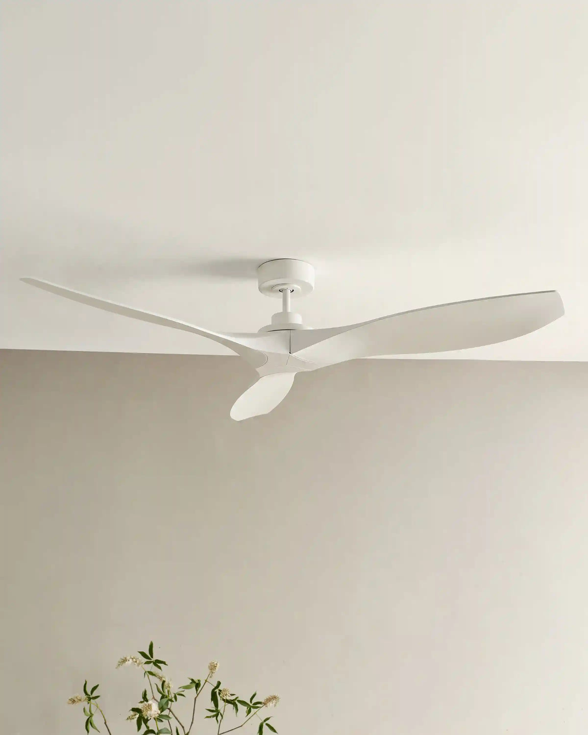 Outdoor Transitional Ceiling Fan