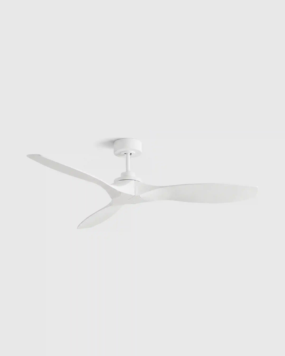 Outdoor Transitional Ceiling Fan