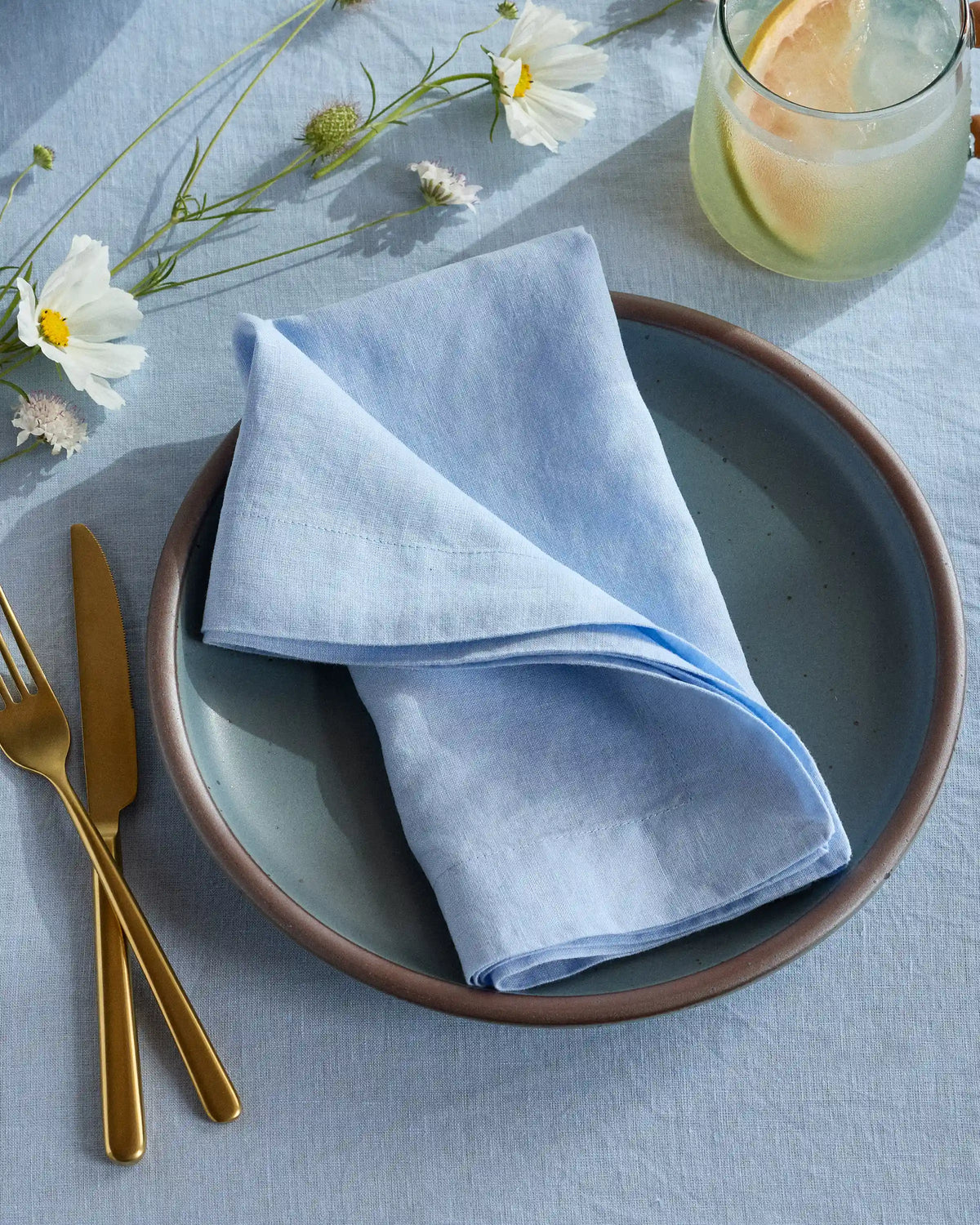 European Linen Wide-Hem Napkins, Set of 12