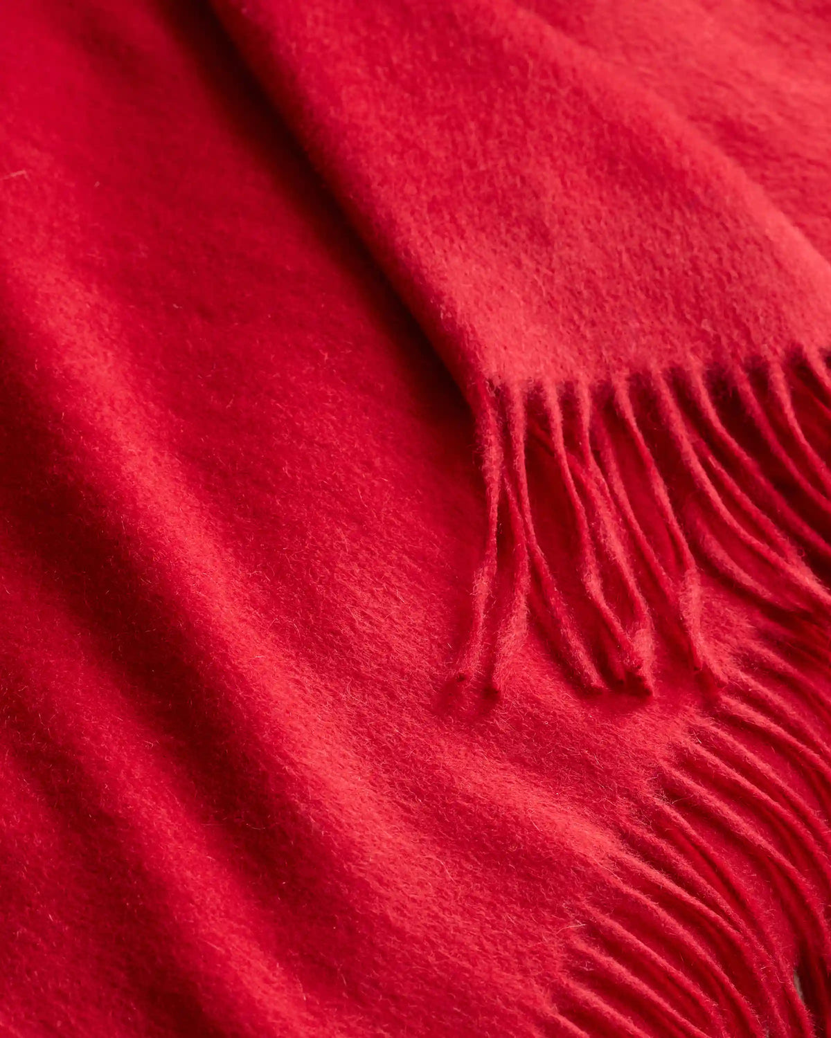Mongolian Cashmere Throw