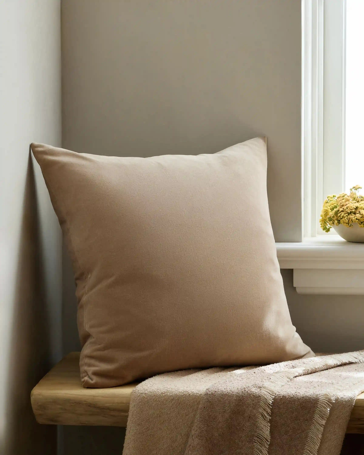 Classic Cotton Velvet Pillow Cover (Set of 2)