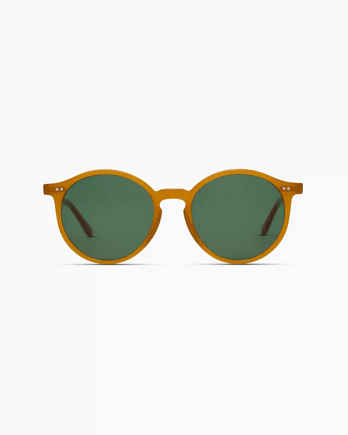 Brixton Polarized Acetate Sunglasses