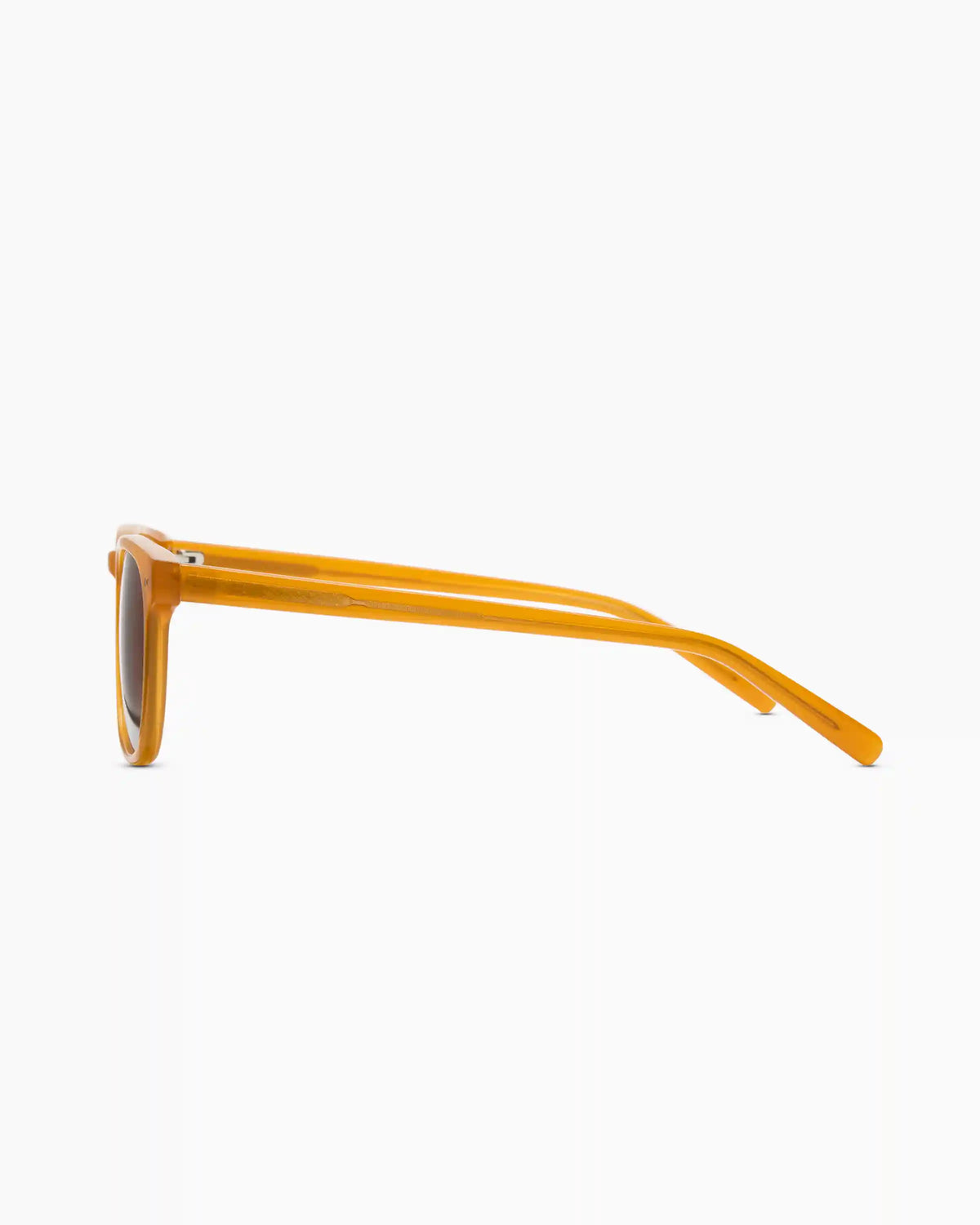 Boston Polarized Acetate Sunglasses